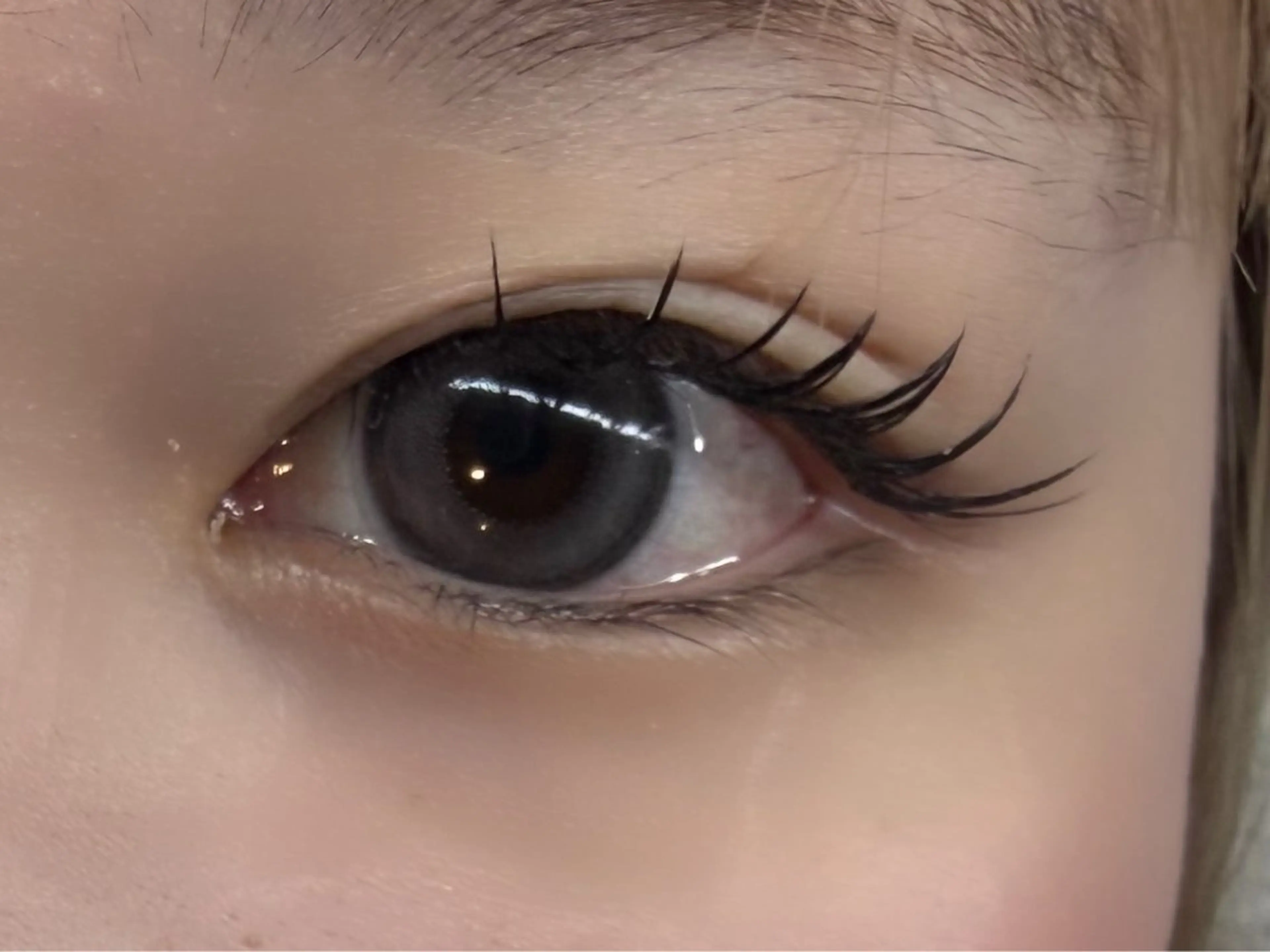 マツエク・マツパ laboT Momokaのマツエク・マツパデザイン