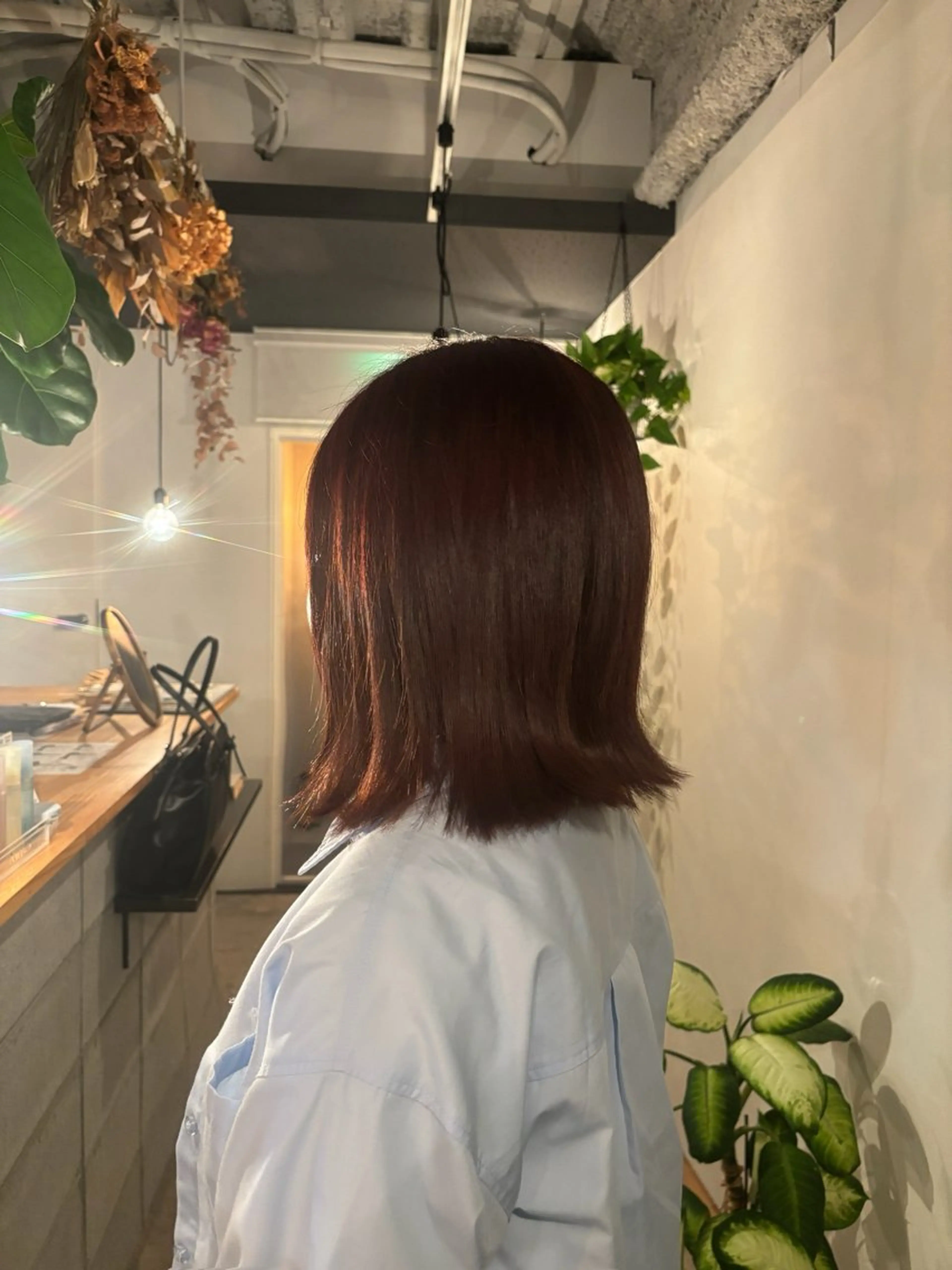 ワンカラー🌳（ブリーチなし）の写真