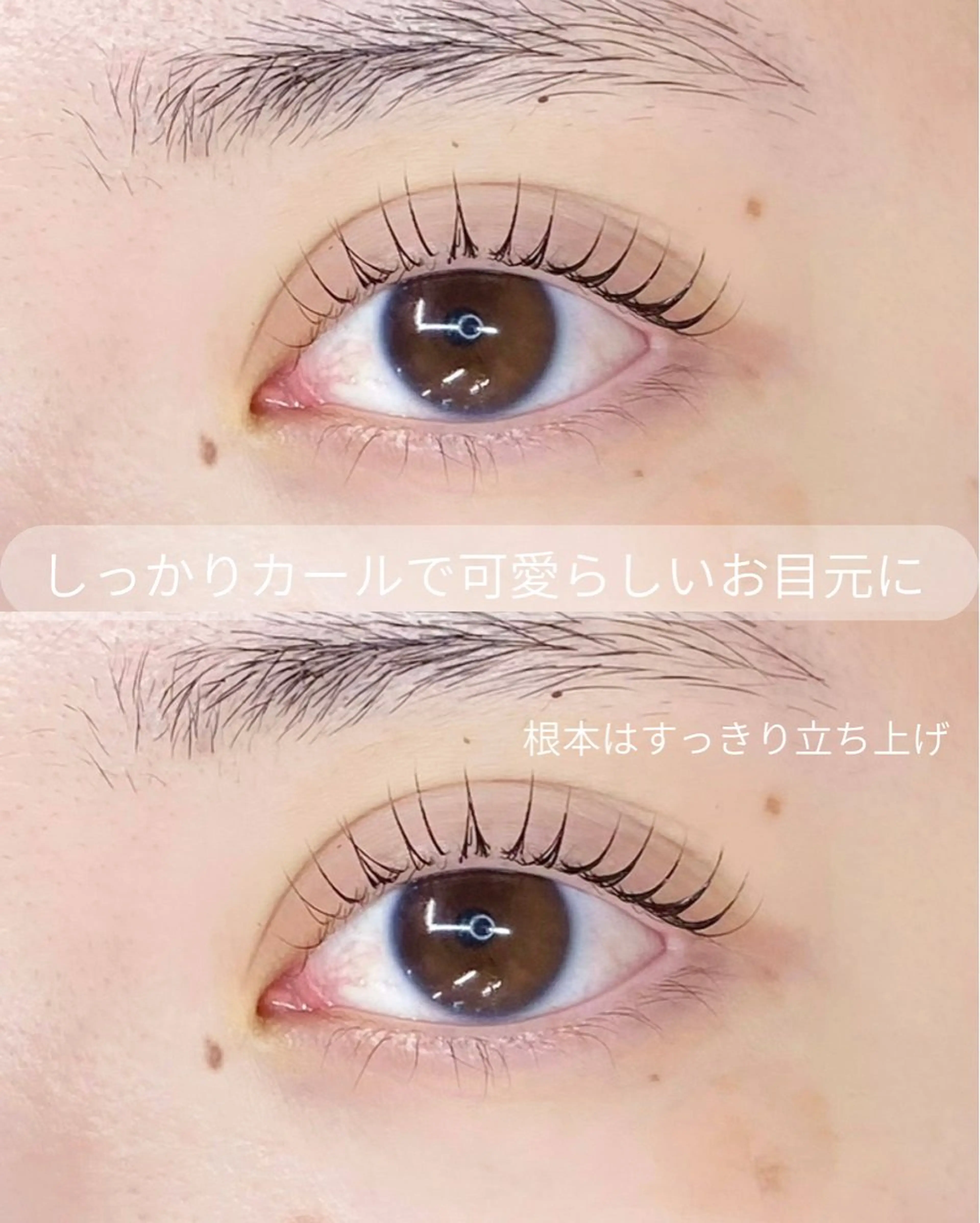 マツエク・マツパ マツパ Dahlia _wakaのマツエク・マツパデザイン