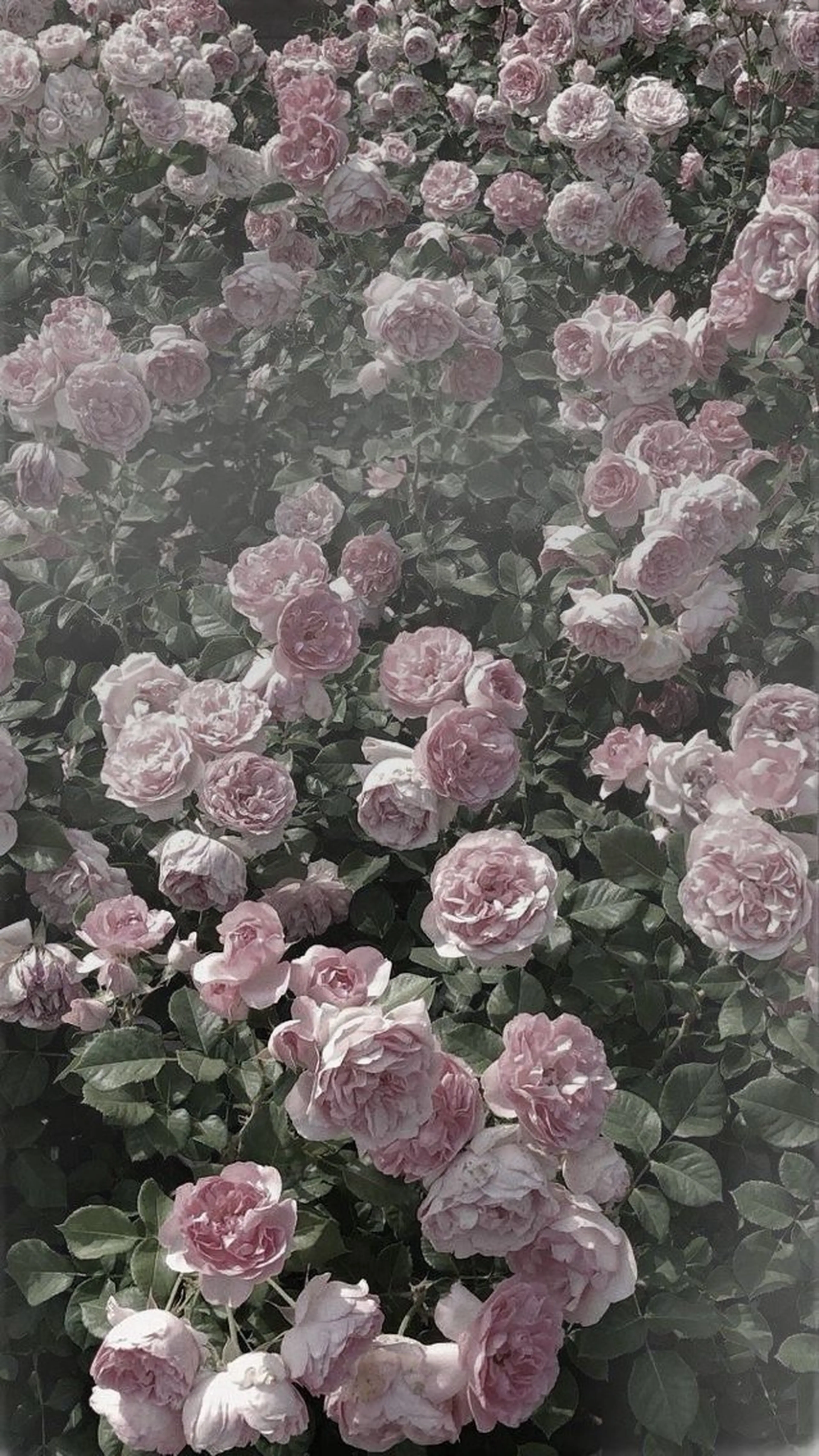 ネイル *Bianca国分寺 IGUCHI✮*｡ﾟのネイルデザイン