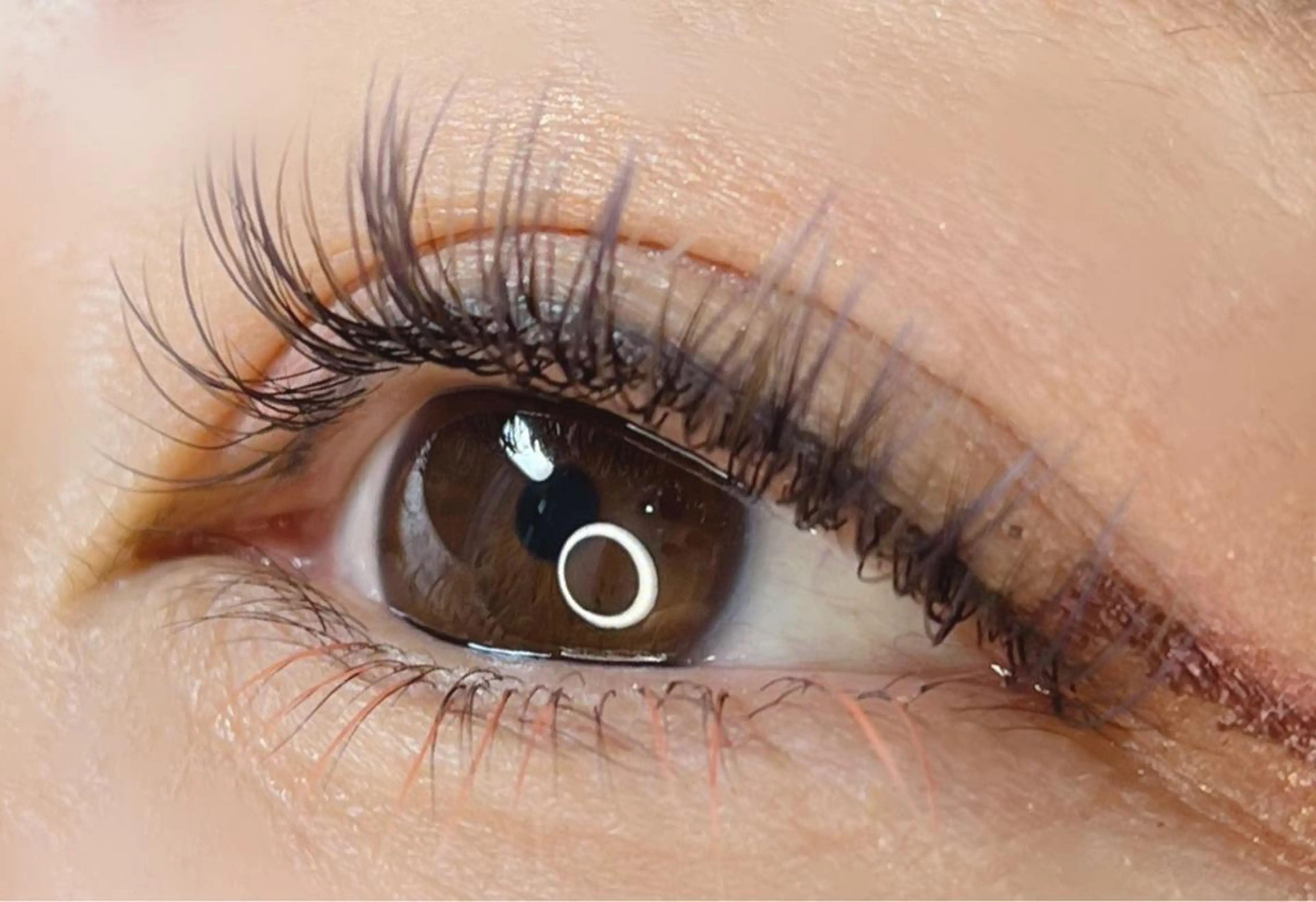 マツエク・マツパ その他(アイブロウ) 《eyelash ｉｉｔｅ》森のマツエク・マツパデザイン