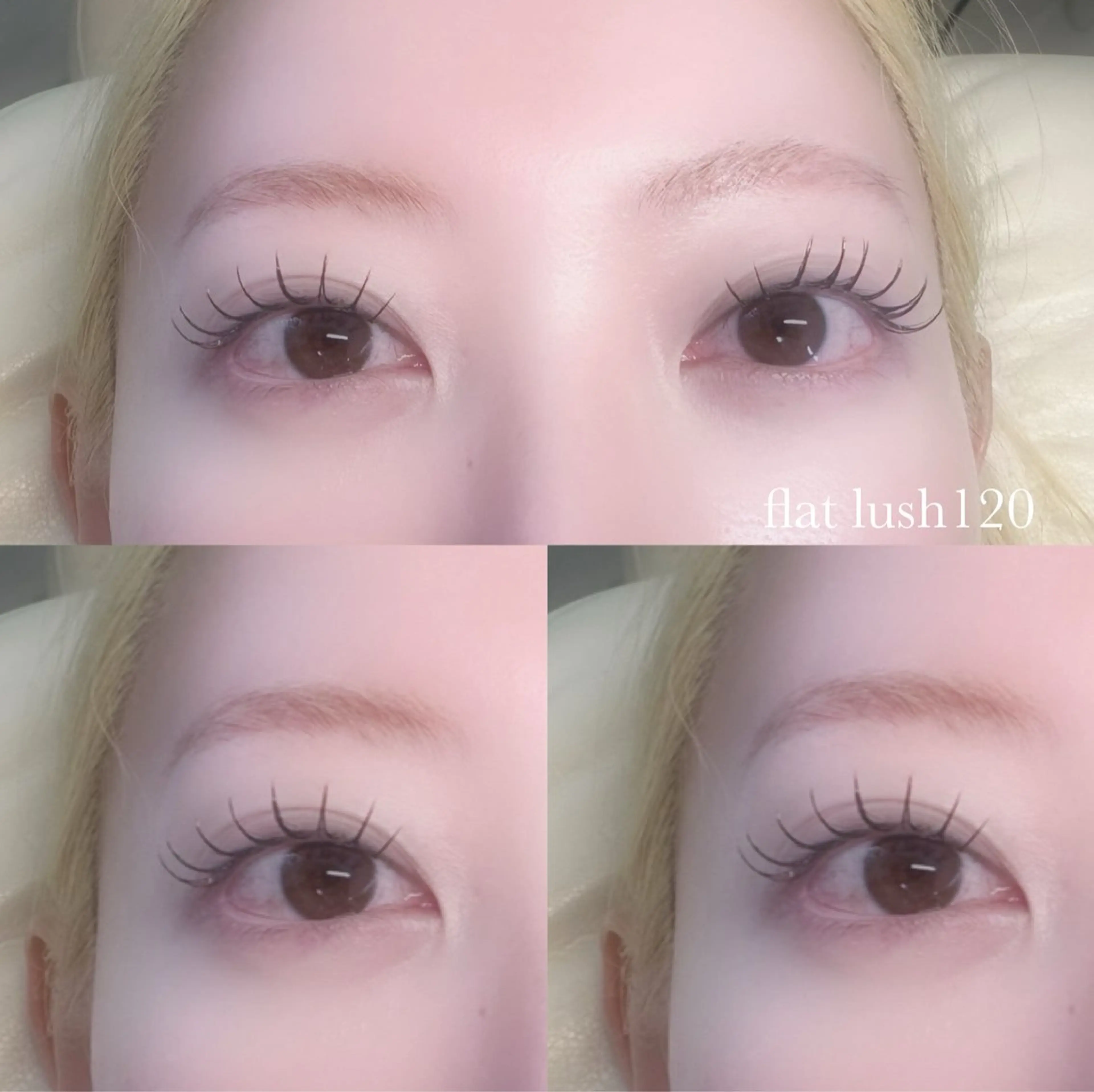 フラットマットラッシュ120本の写真