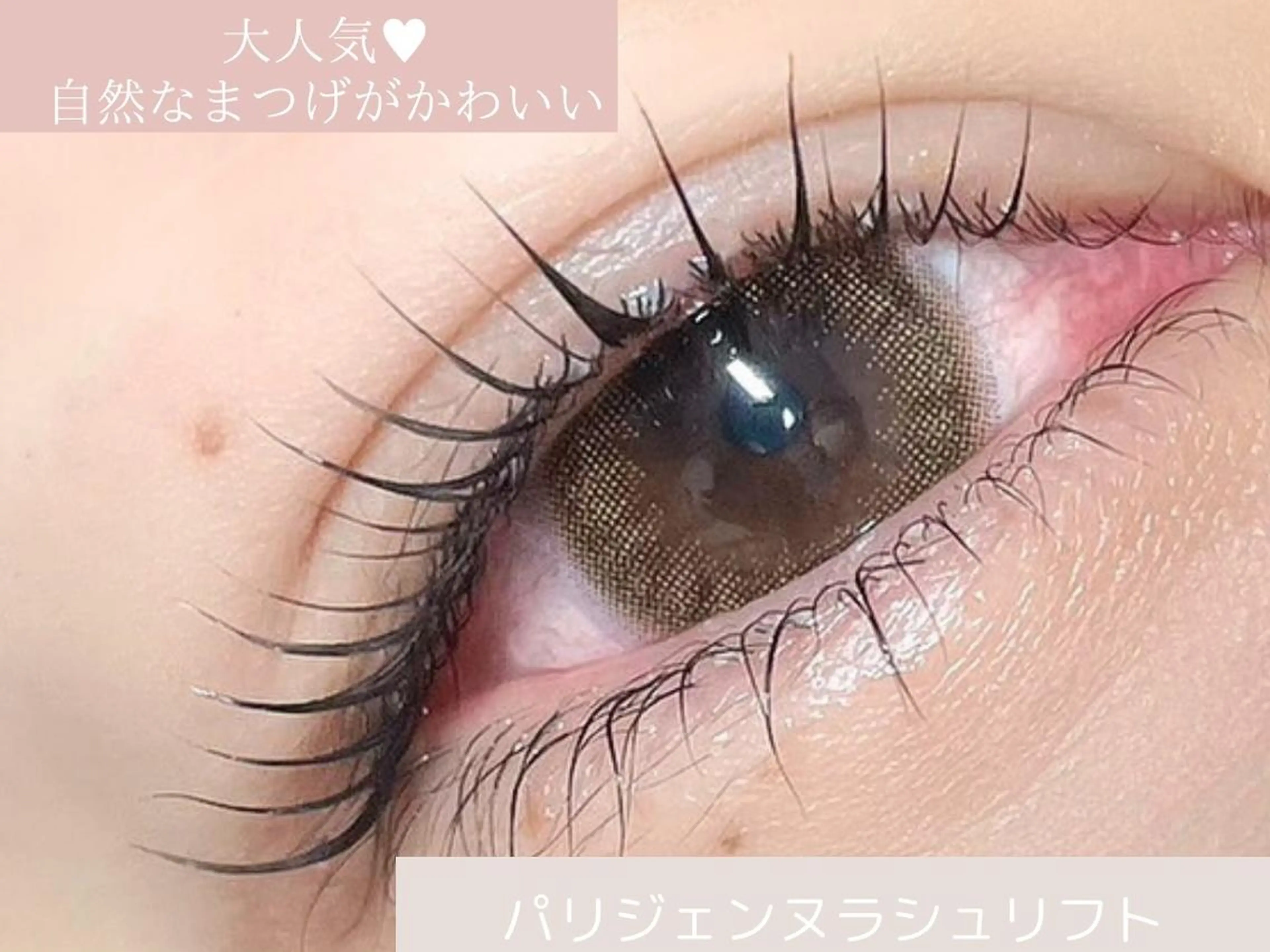 マツエク・マツパ 🌸束感マツエク🩵 SAKURA🩵🌸のマツエク・マツパデザイン