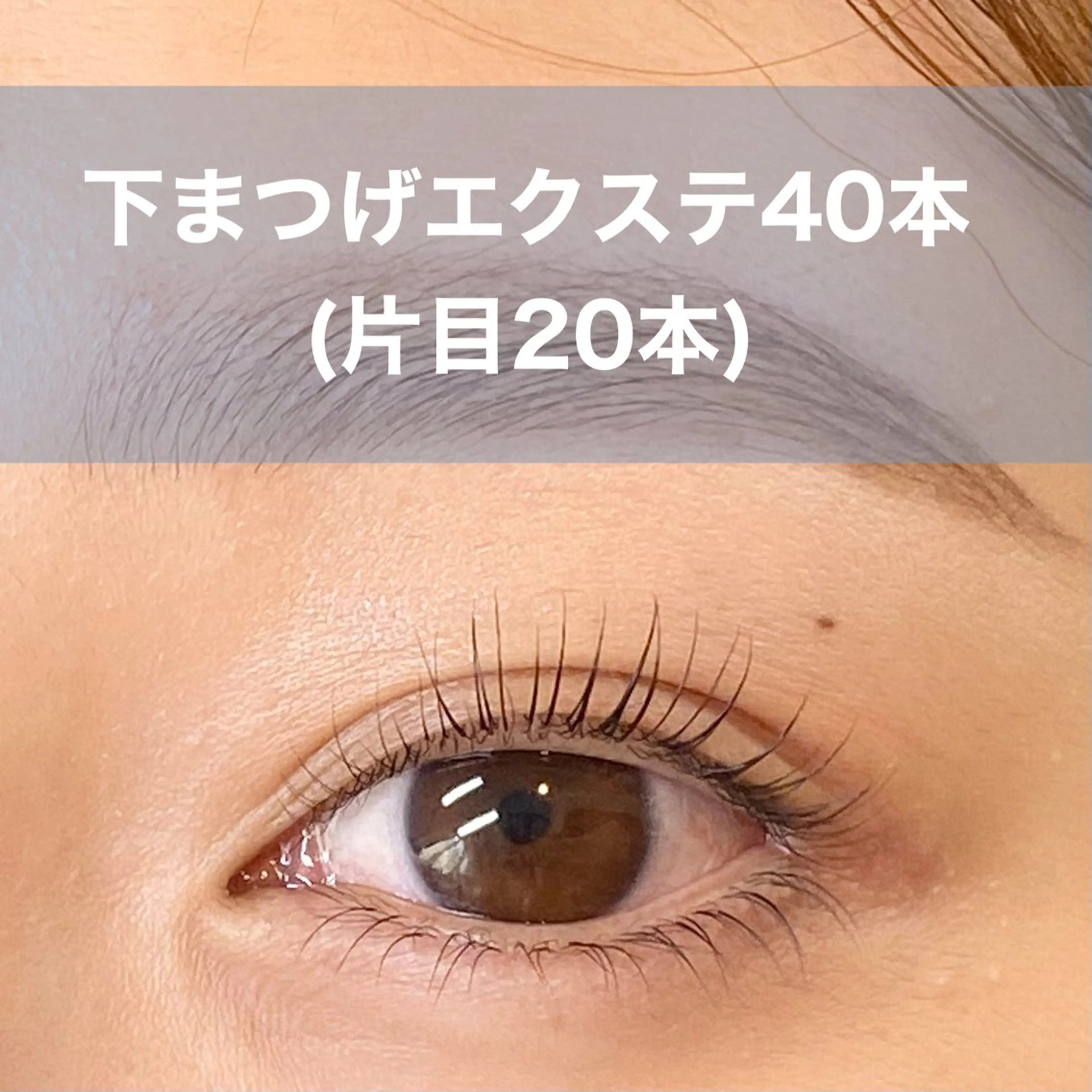 10/8迄【ラッシュリフト上／下マツエク30​〜​40本】アイシャンプー付き🧴✨下マツエクはモデルになります🌷の写真