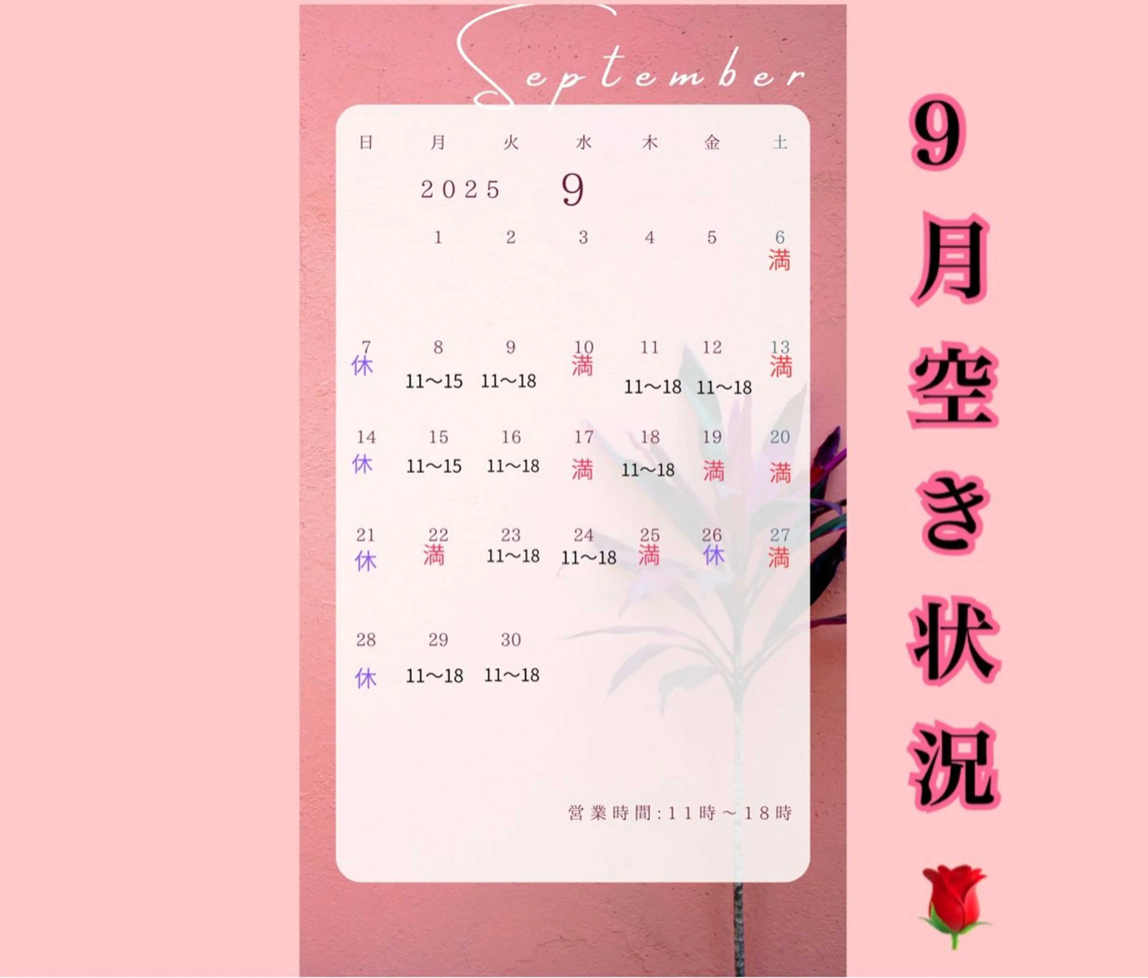 ✨元夜職Ｎｏ.1✨ 魅せ方プロ級Mikaのその他イメージ