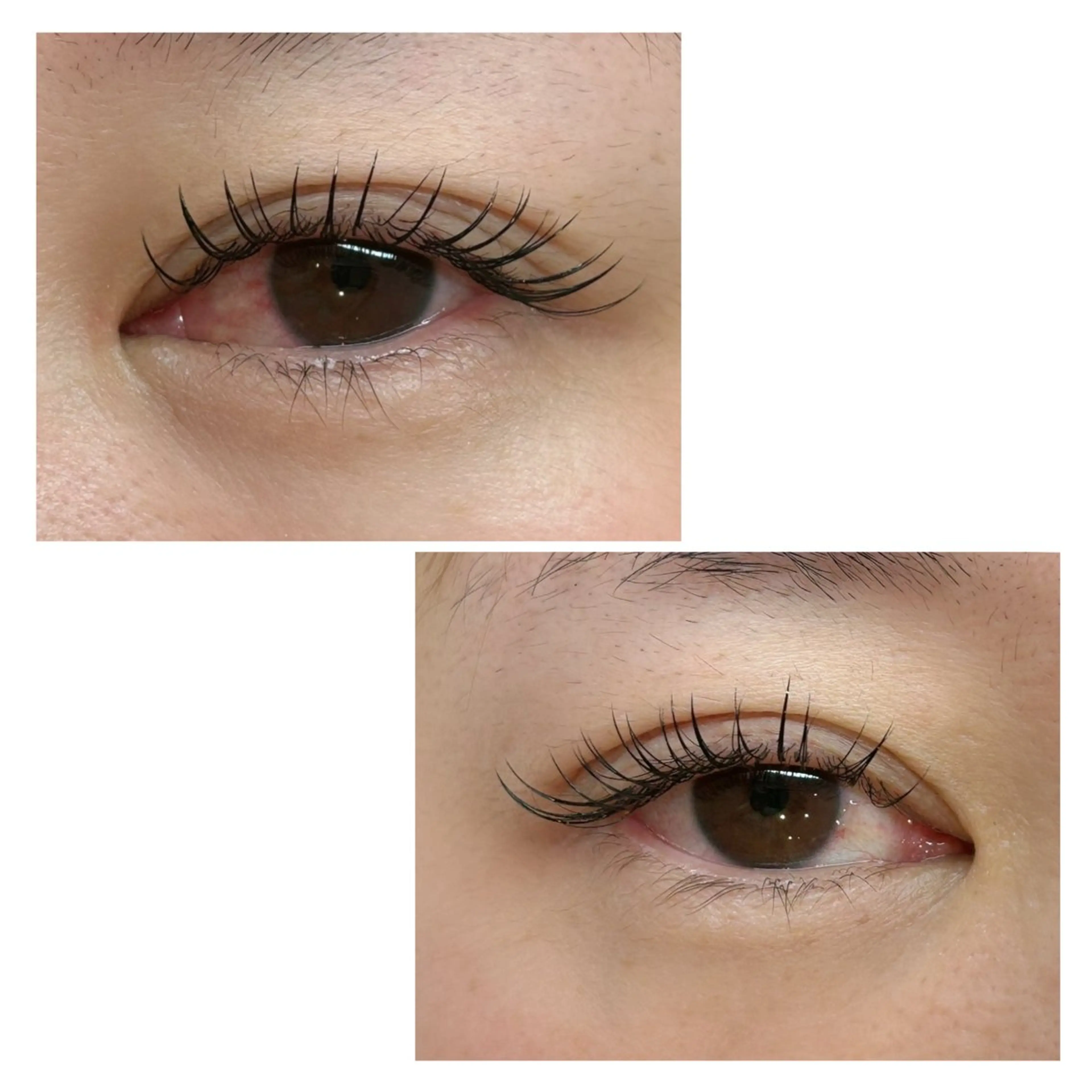 マツエク・マツパ フラットラッシュ Jカール マツエク sii. eyelash/eyebrow所属・sii. くろだのマツエク・マツパデザイン