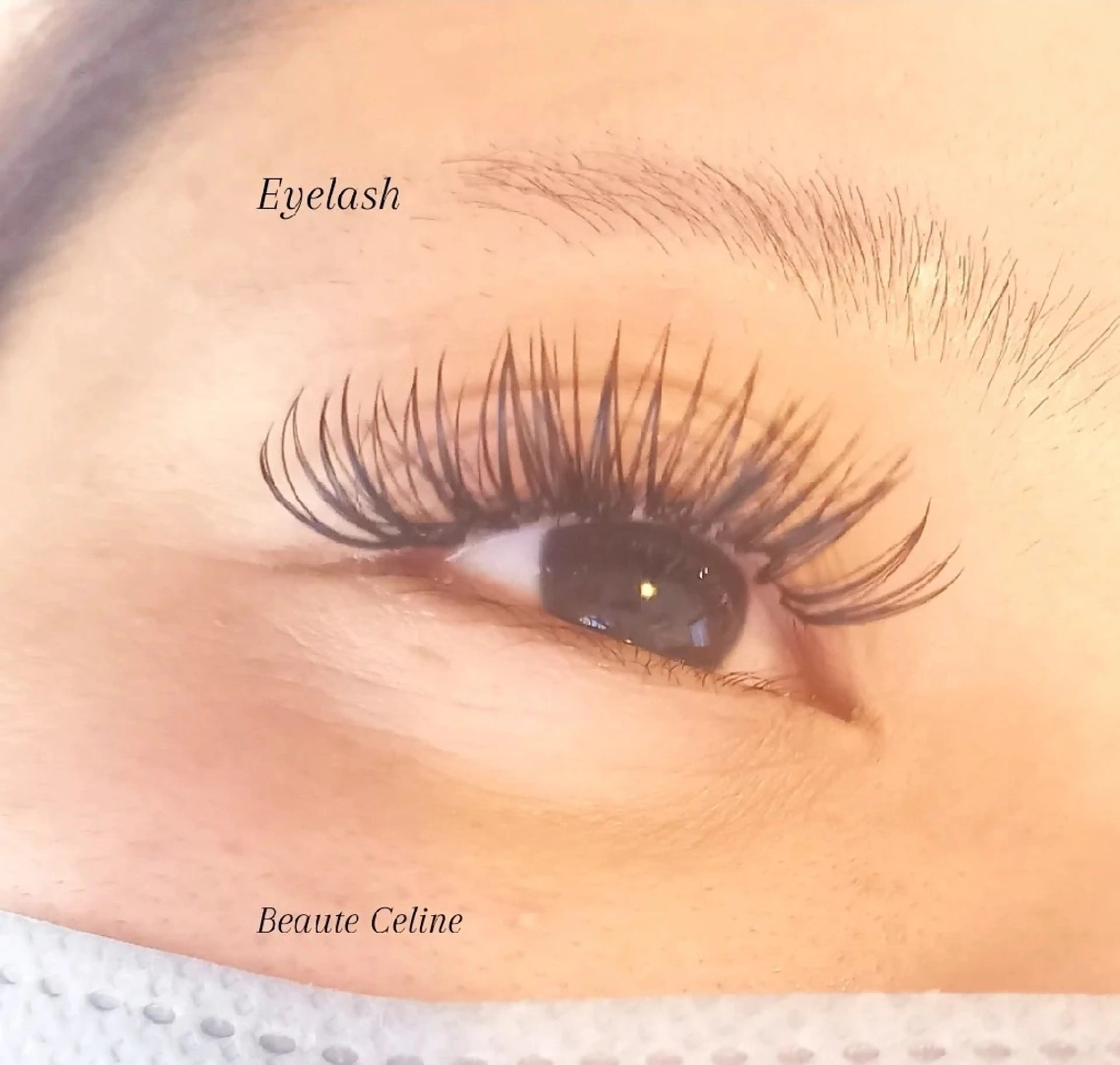 マツエク・マツパ マツエク beaute.celine所属・&healthy💜 ﾎﾞｰﾃCelineのマツエク・マツパデザイン