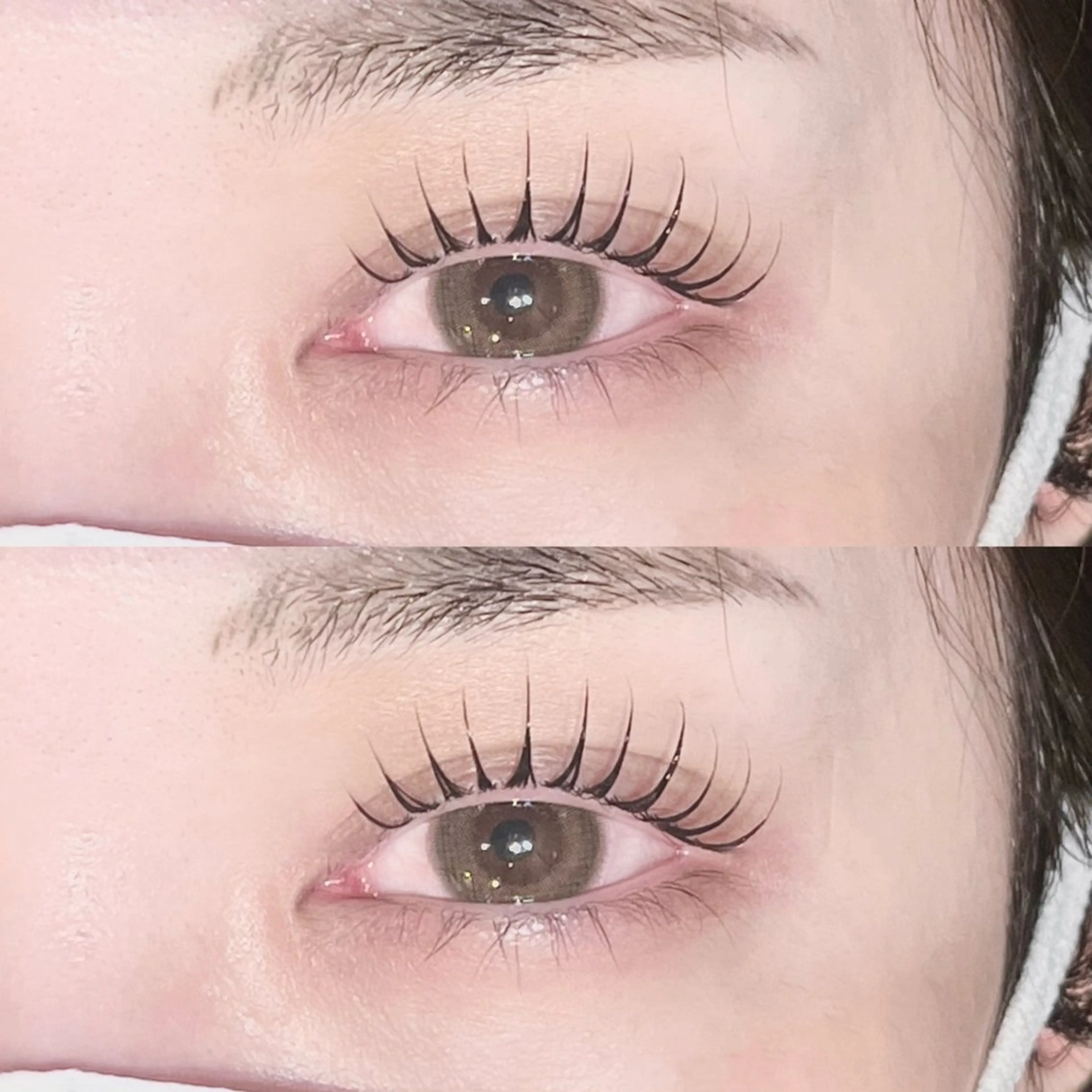 まつげパーマ×ブラックティント🐾の写真