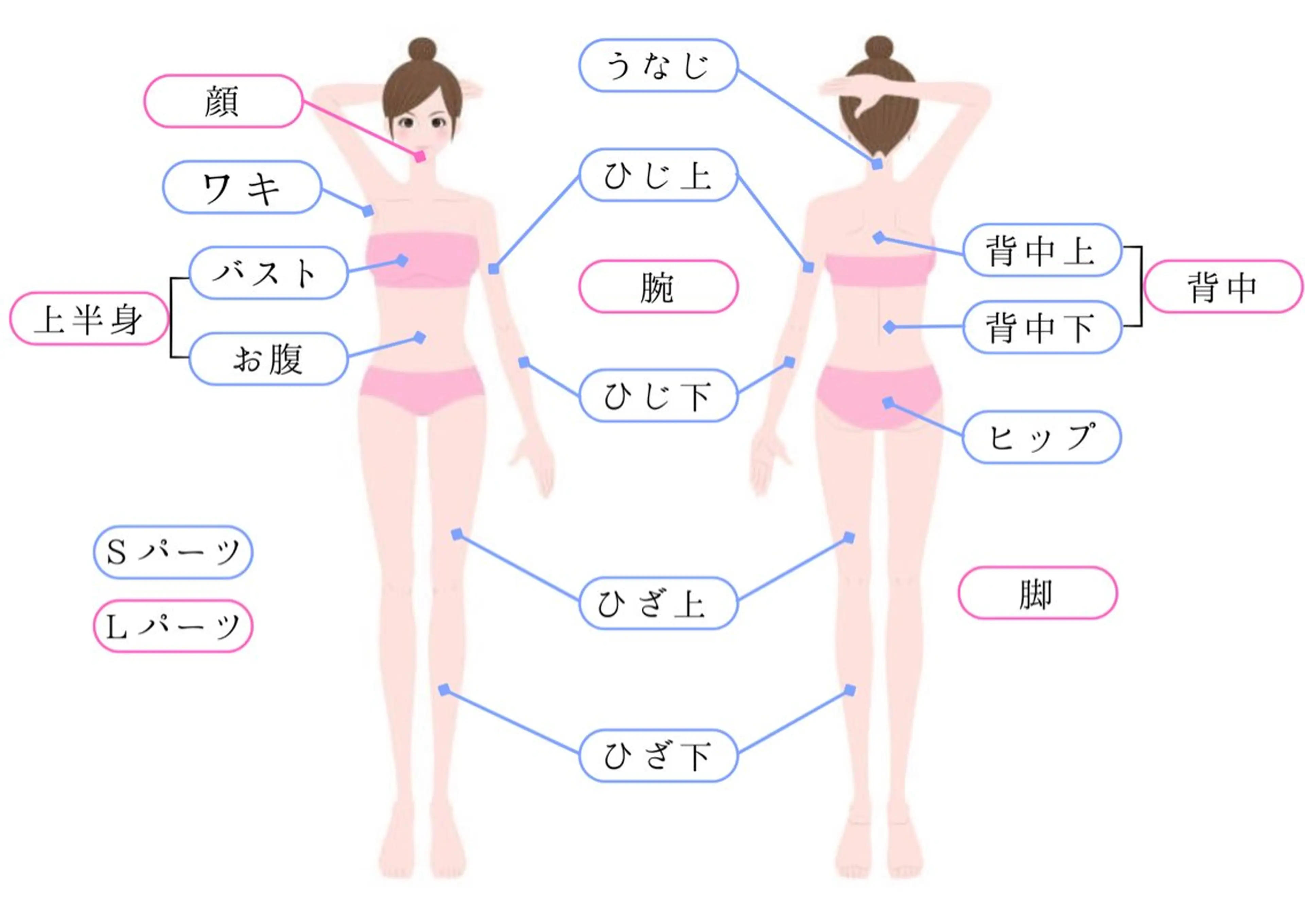 PROSOL こころ所属・PROSOL こころのエステ・リラクイメージ