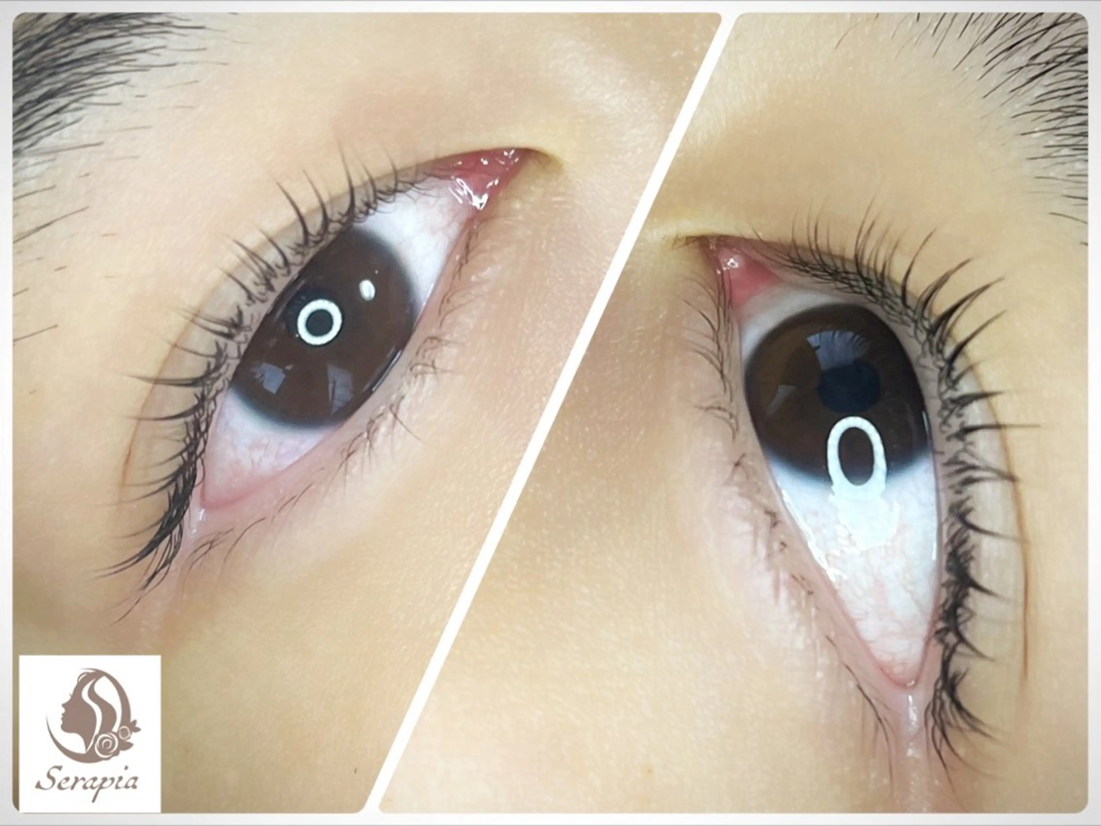 マツエク・マツパ Serapia 【セラピア】のマツエク・マツパデザイン