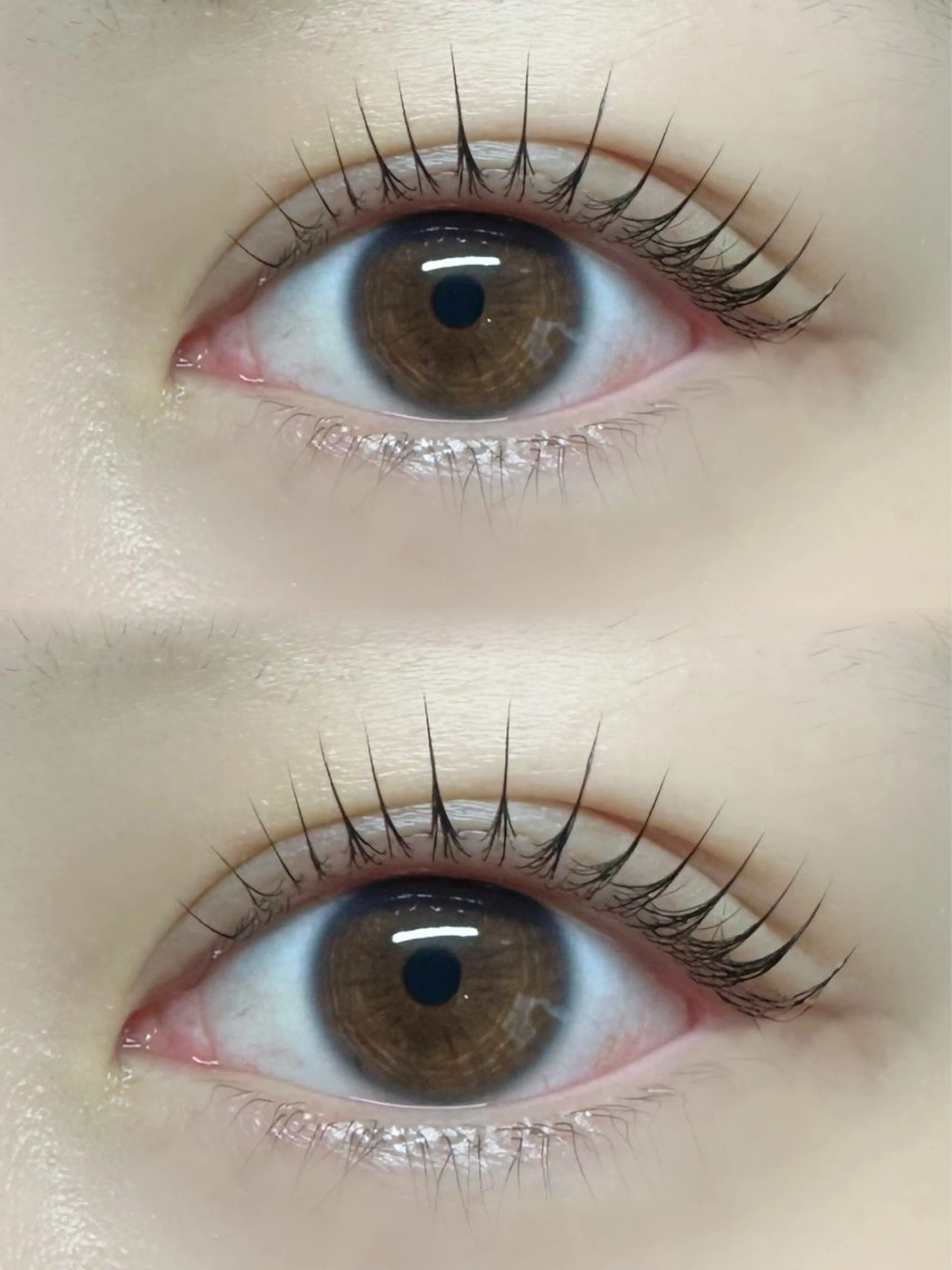 マツエク・マツパ パリジェンヌラッシュリフト マツパ FLEUR eyelashsalon所属・FLEUR 【フルール】のマツエク・マツパデザイン