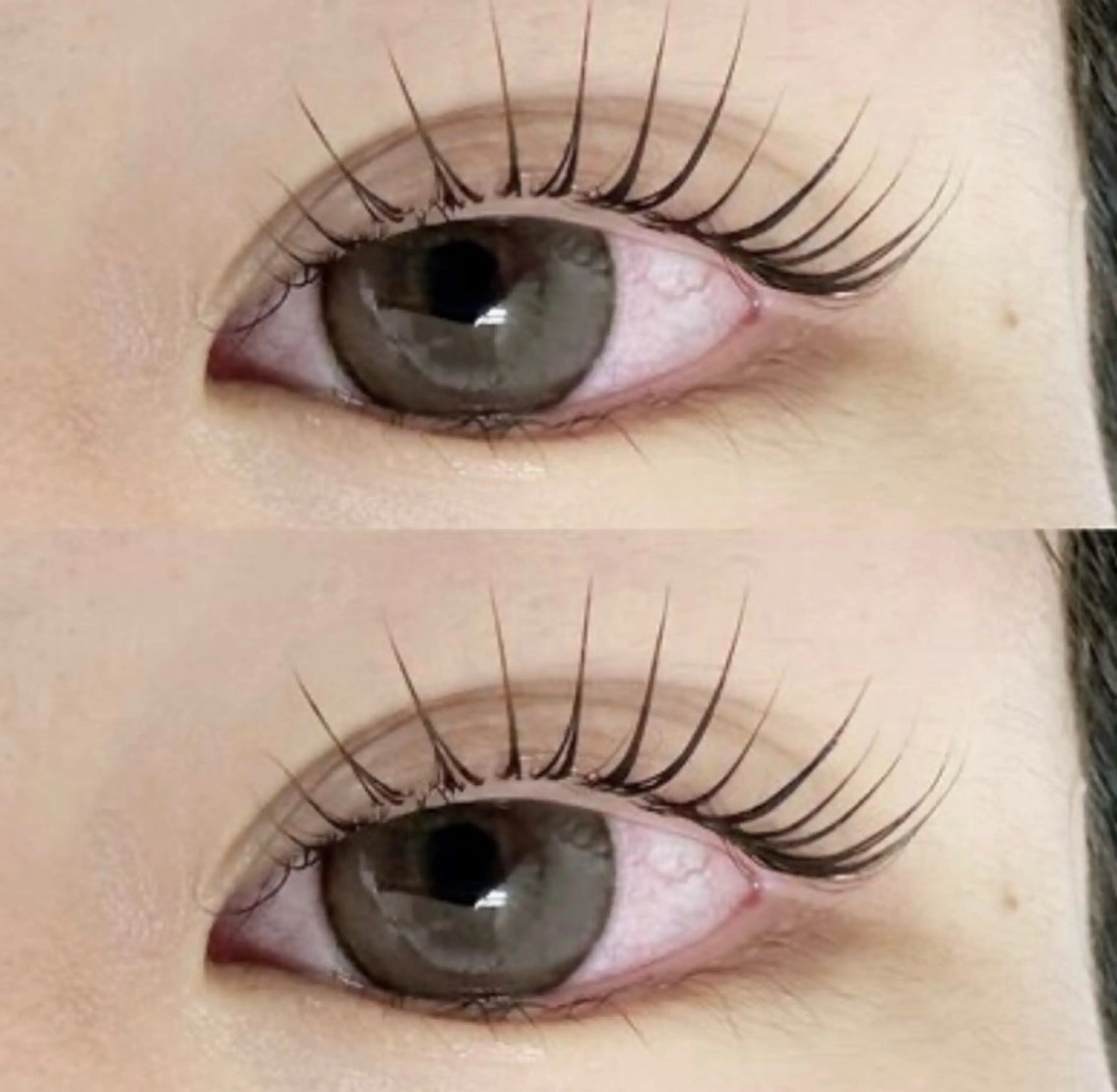 ✨️まつ毛パーマ✨️パリジェンヌ✨️所要時間90分程度の写真