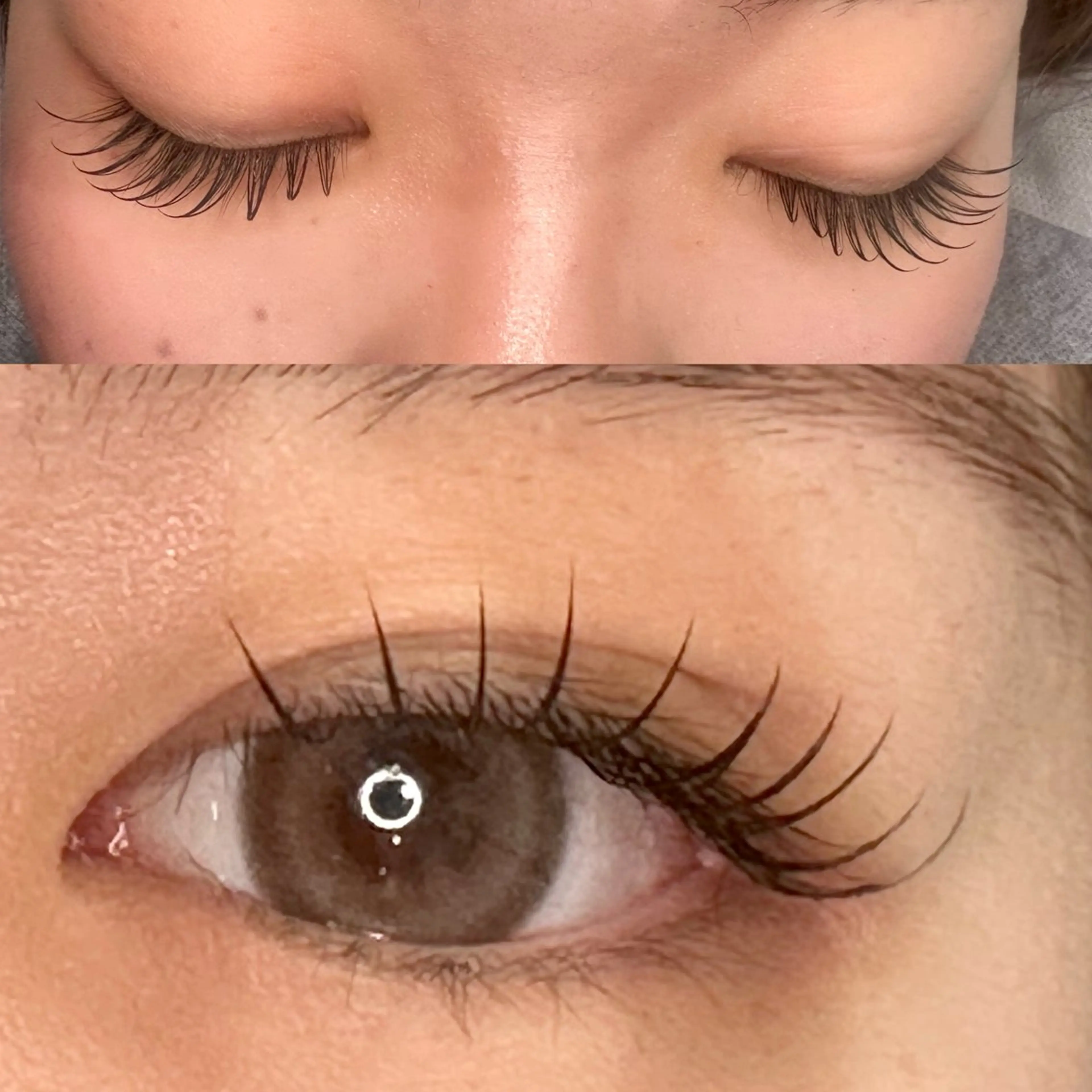 マツエク・マツパ Cカール Dカール フラットラッシュ マツエク S+アサクサ束感 外国人風パリジエンヌのマツエク・マツパデザイン