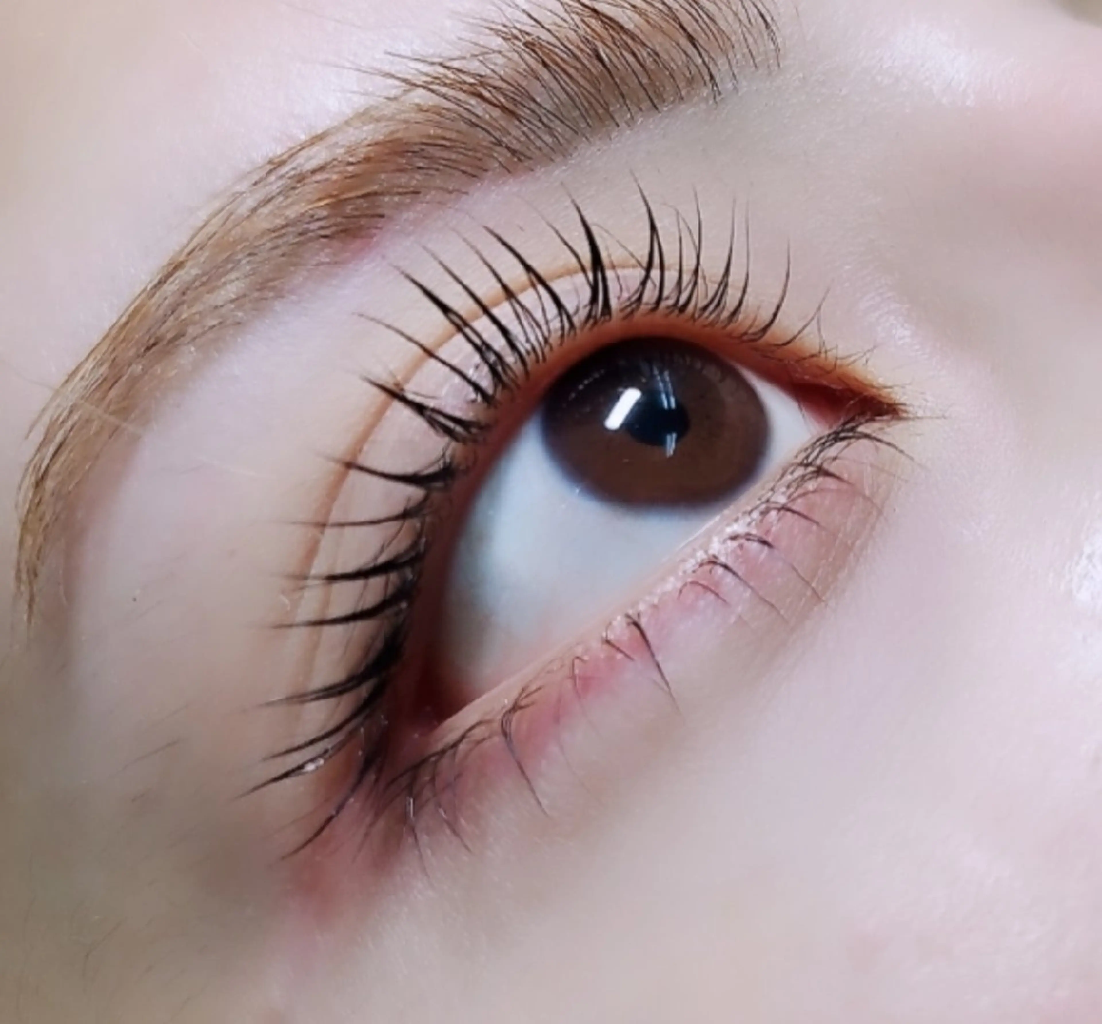 マツエク・マツパ eyelashsalon   rocolush 所属・★Hoshino★ 新宿西口 ·͜·🌟のマツエク・マツパデザイン