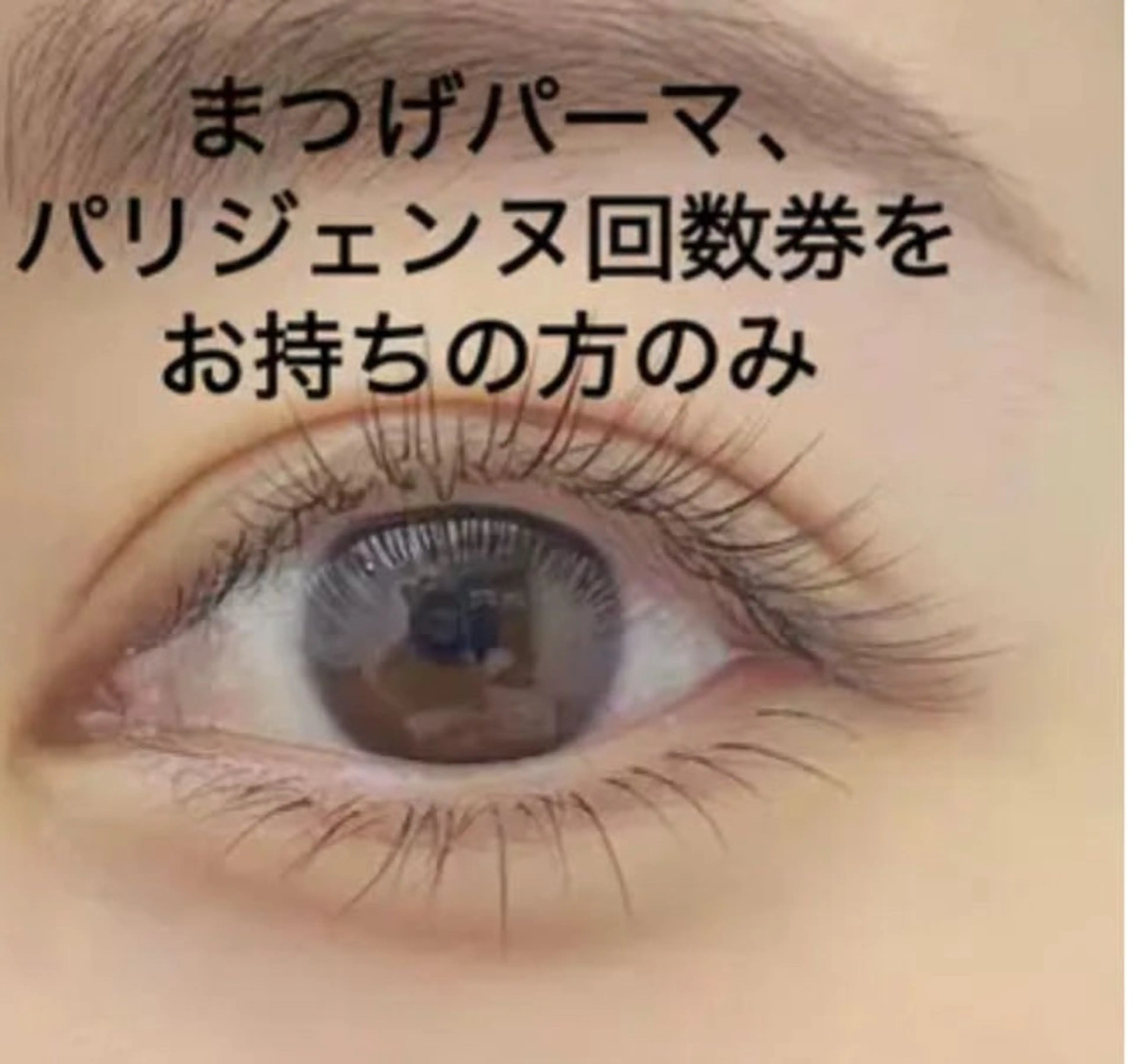まつげパーマ/束感/パリジェンヌ回数券(上)お持ちの方[玫瑰](回数券を購入した方のみ予約可能です)の写真