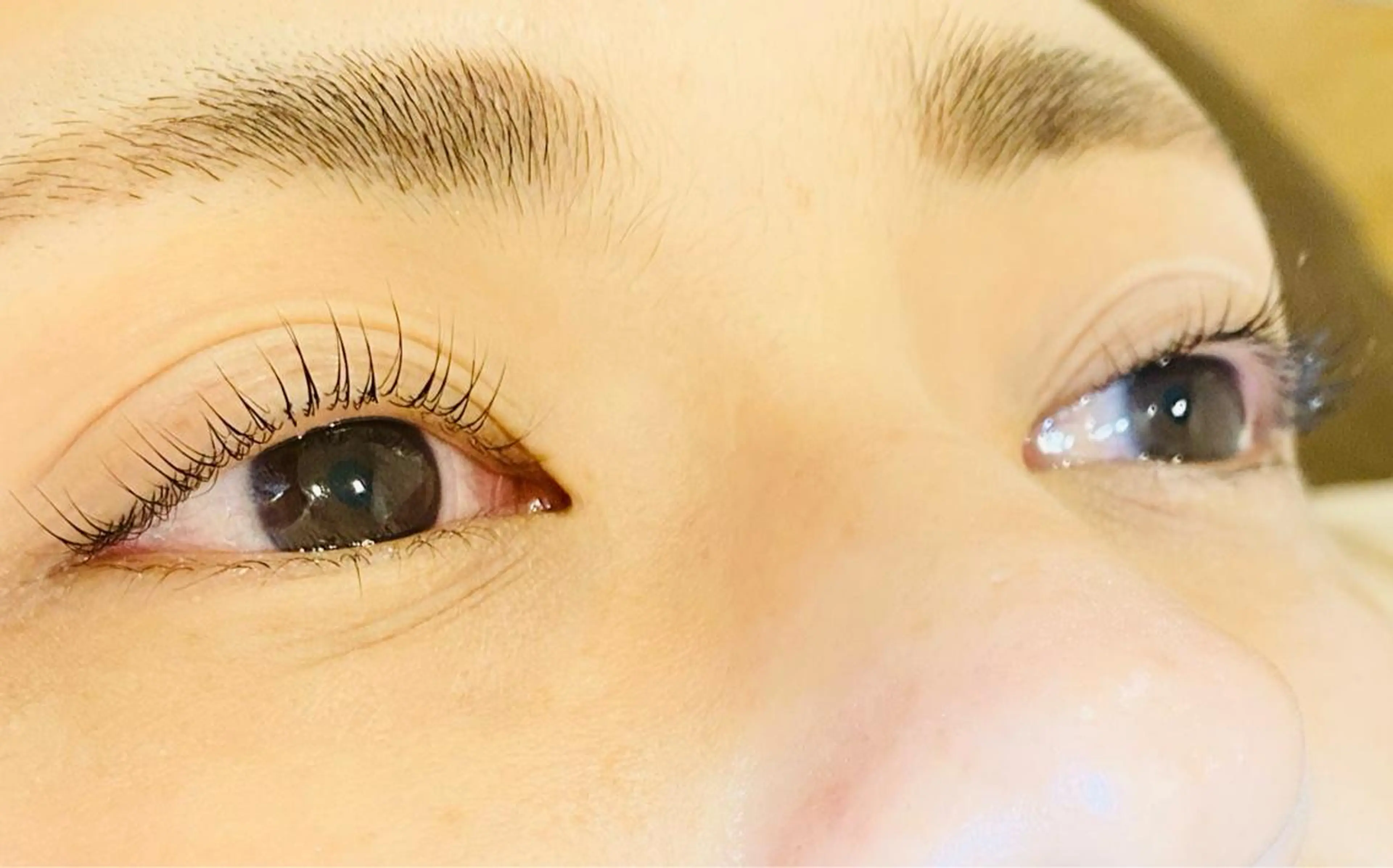 マツエク・マツパ ナチュラル まつげパーマ マツパ Dolce eye lash ねごろのマツエク・マツパデザイン