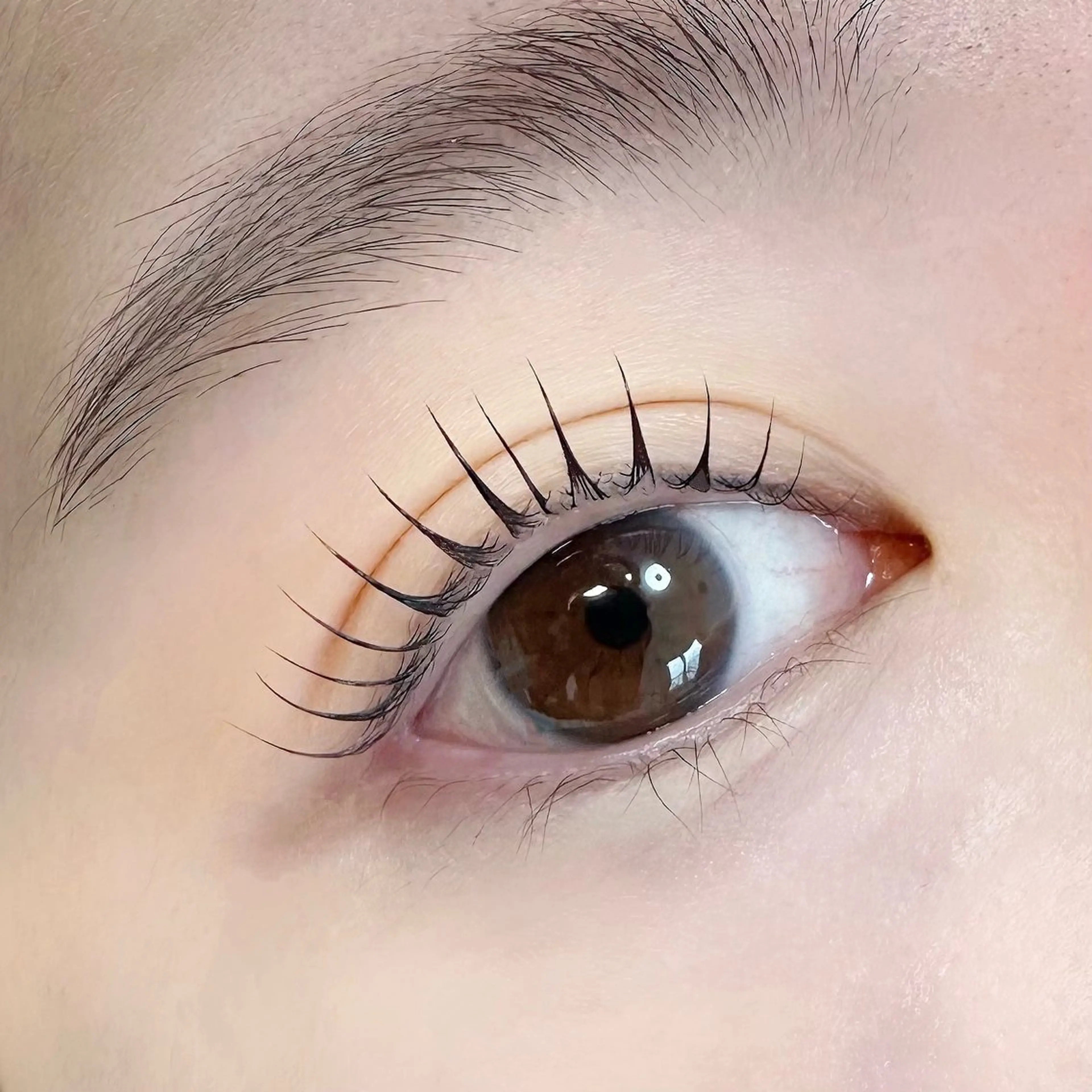 まつ毛パーマ（ラッシュリフト）　上のみ　コーティング付きの写真
