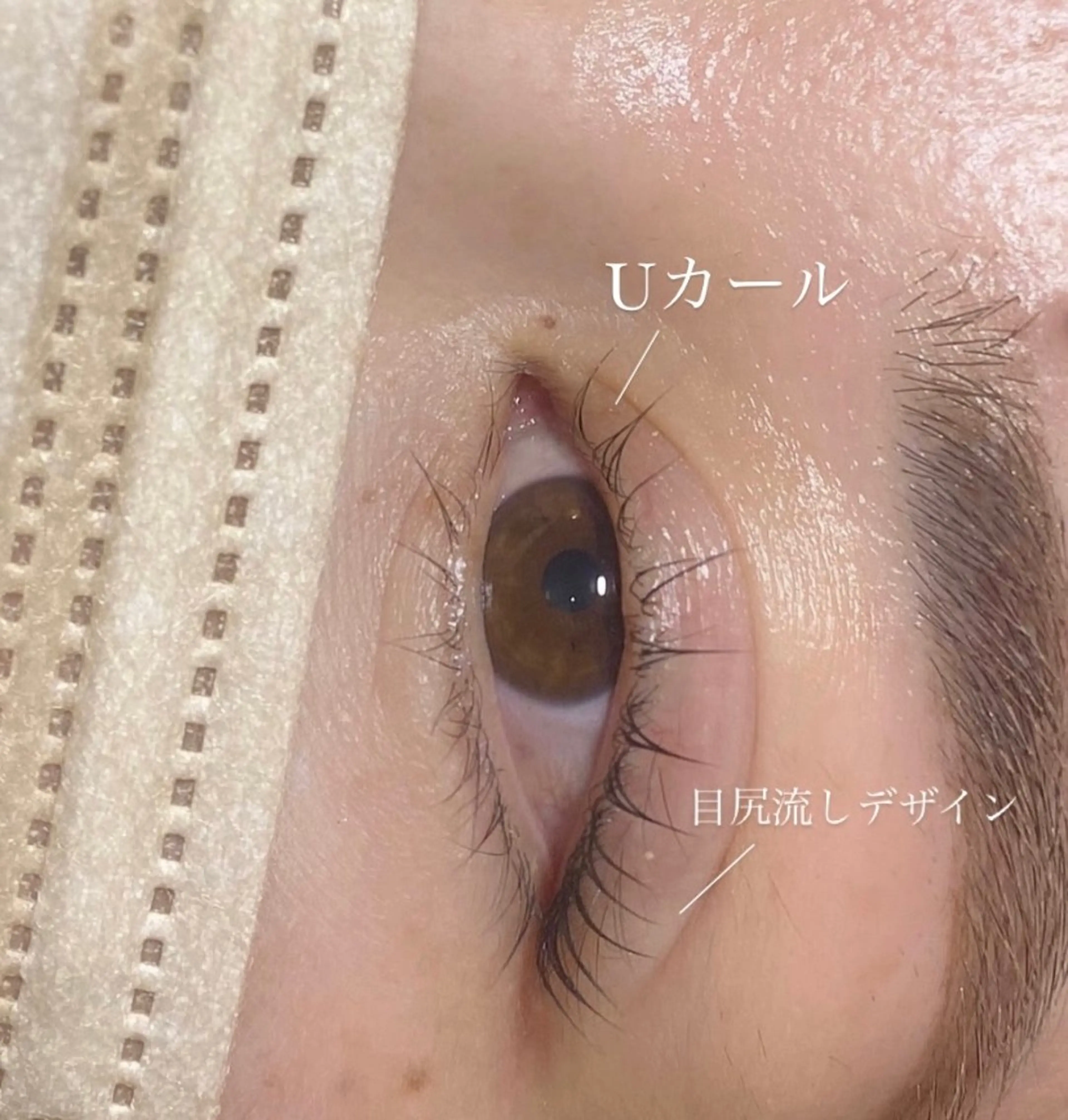 マツエク・マツパ Cカール マツパ Eyelash Salon “elu.”所属・elu 菅野のマツエク・マツパデザイン