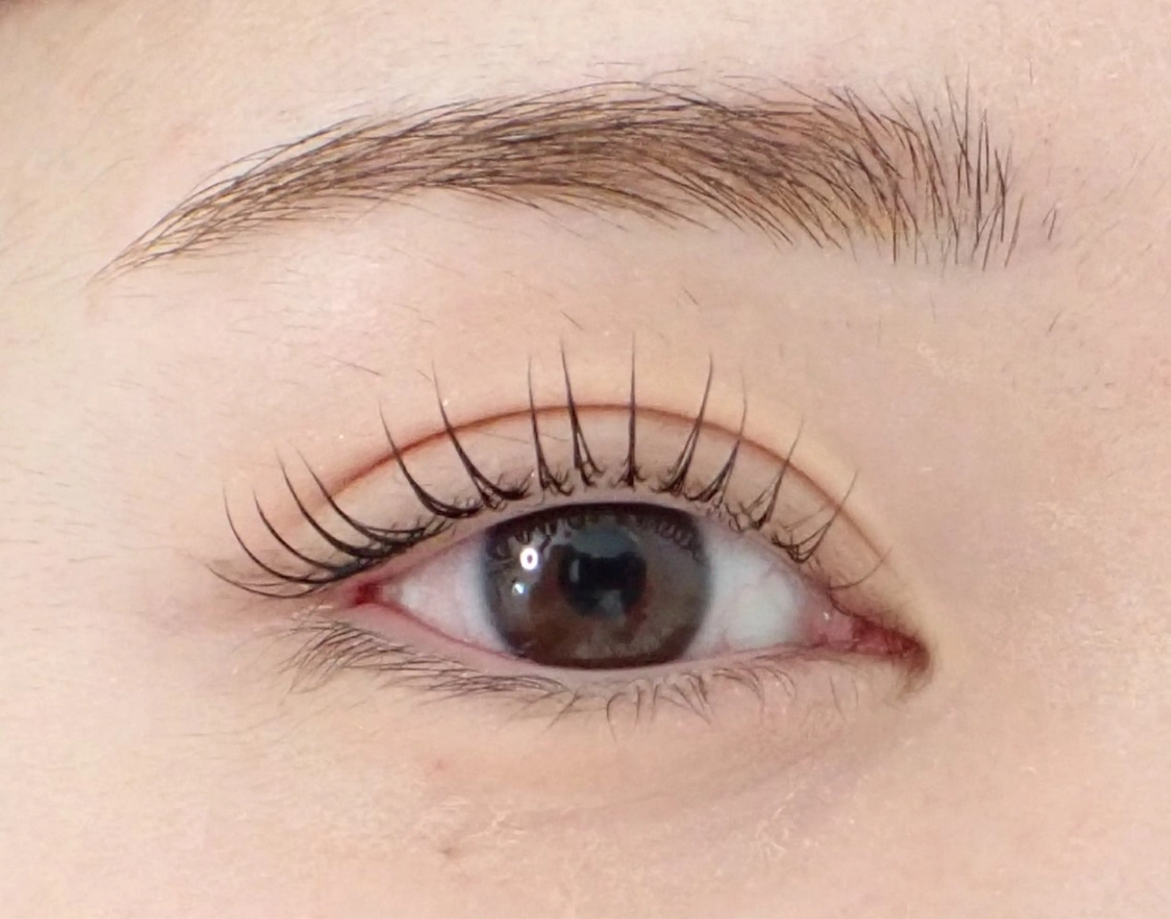 (オフなし限定、期間限定)まつげパーマ、眉毛アイブロウWAXスタイリングの写真
