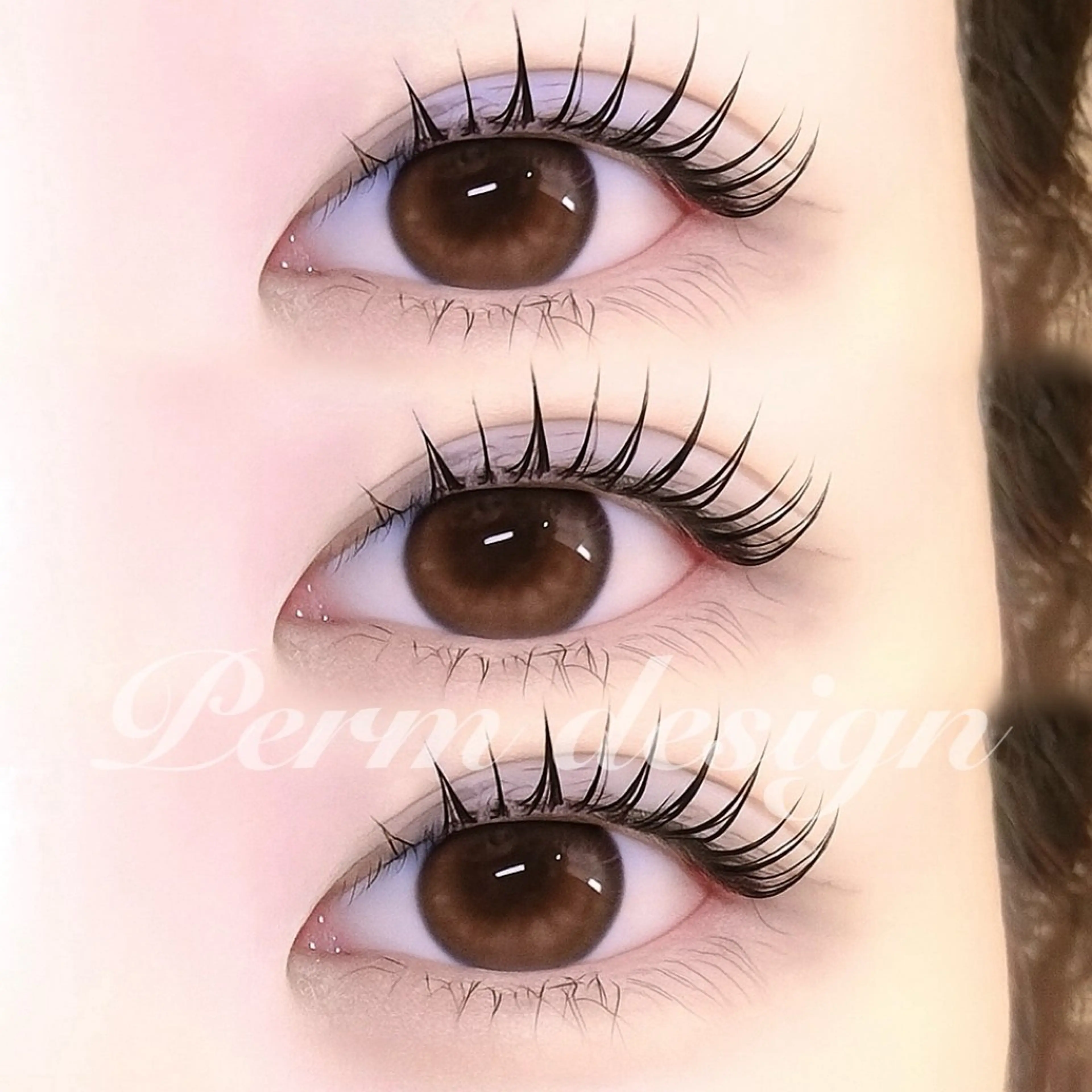 🍁11月限定 【 パリジェンヌラッシュリフト or まつ毛パーマ 】美容コーティング仕上げ🍁の写真