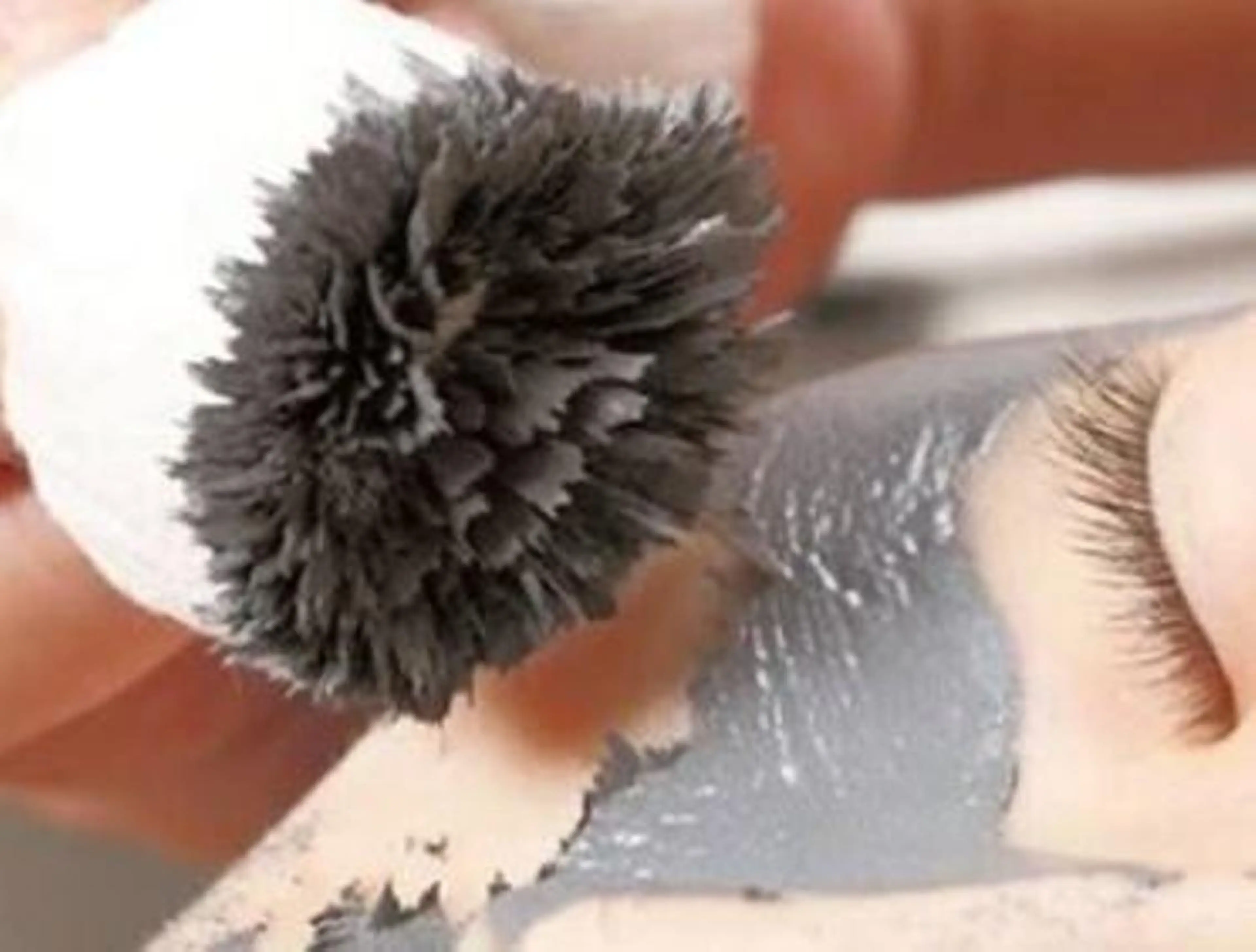 THE SALON -thea-|錦糸町のマツエク・マツパデザイン