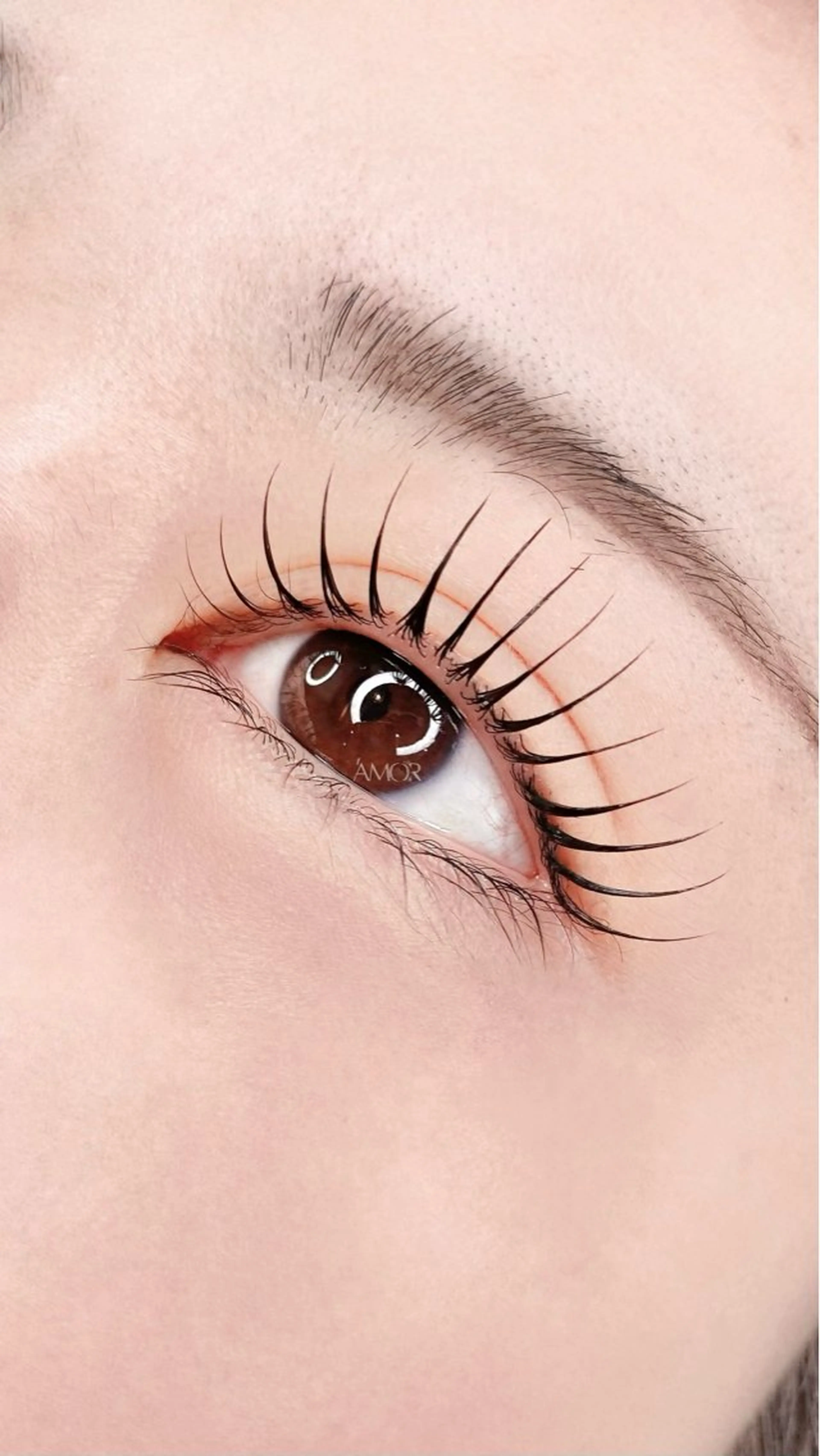 マツエク・マツパ マツパ Amor所属・AMOR EYELASHのマツエク・マツパデザイン