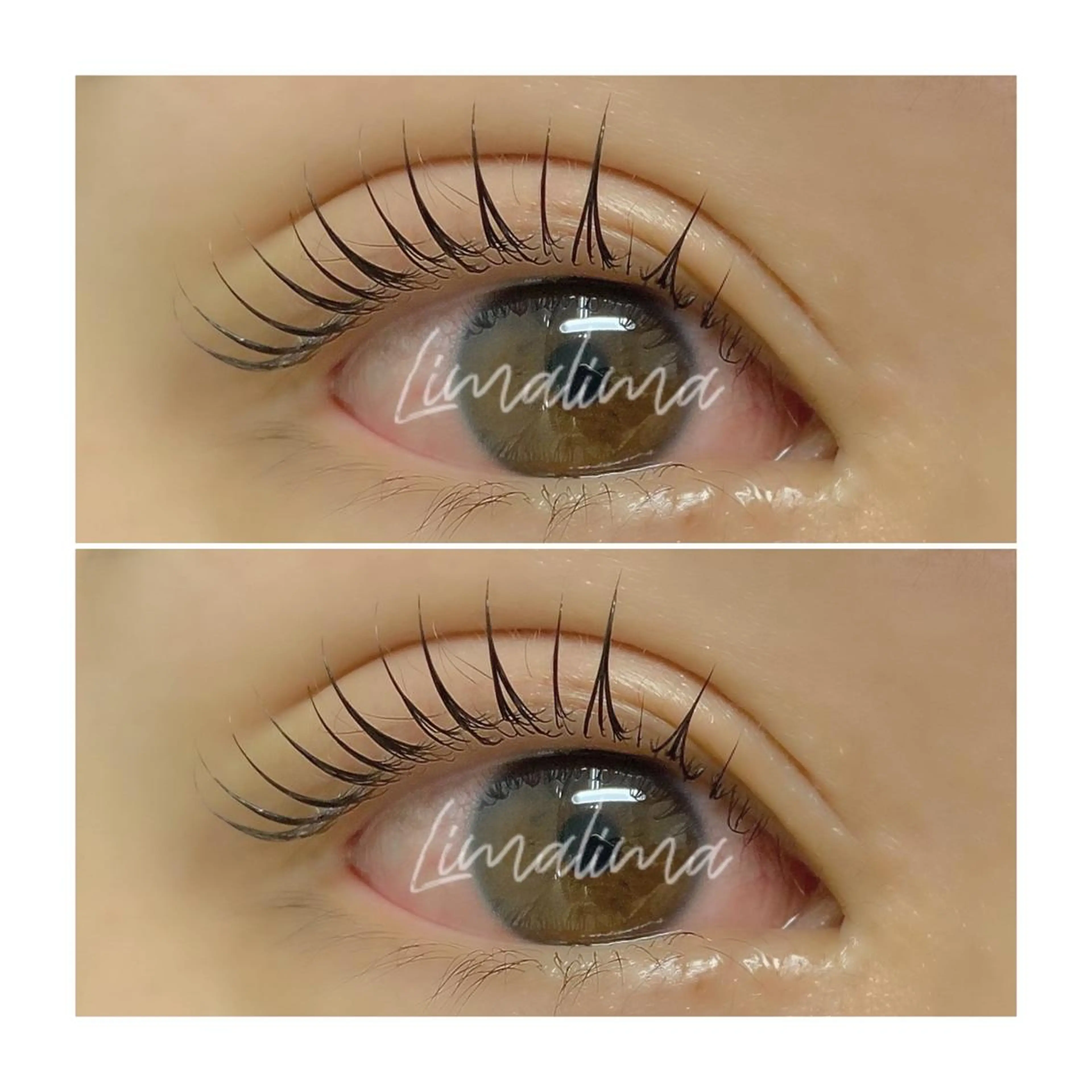 マツエク・マツパ Limalima所属・まつ毛と眉毛の専門店 Limalima🌿のマツエク・マツパデザイン