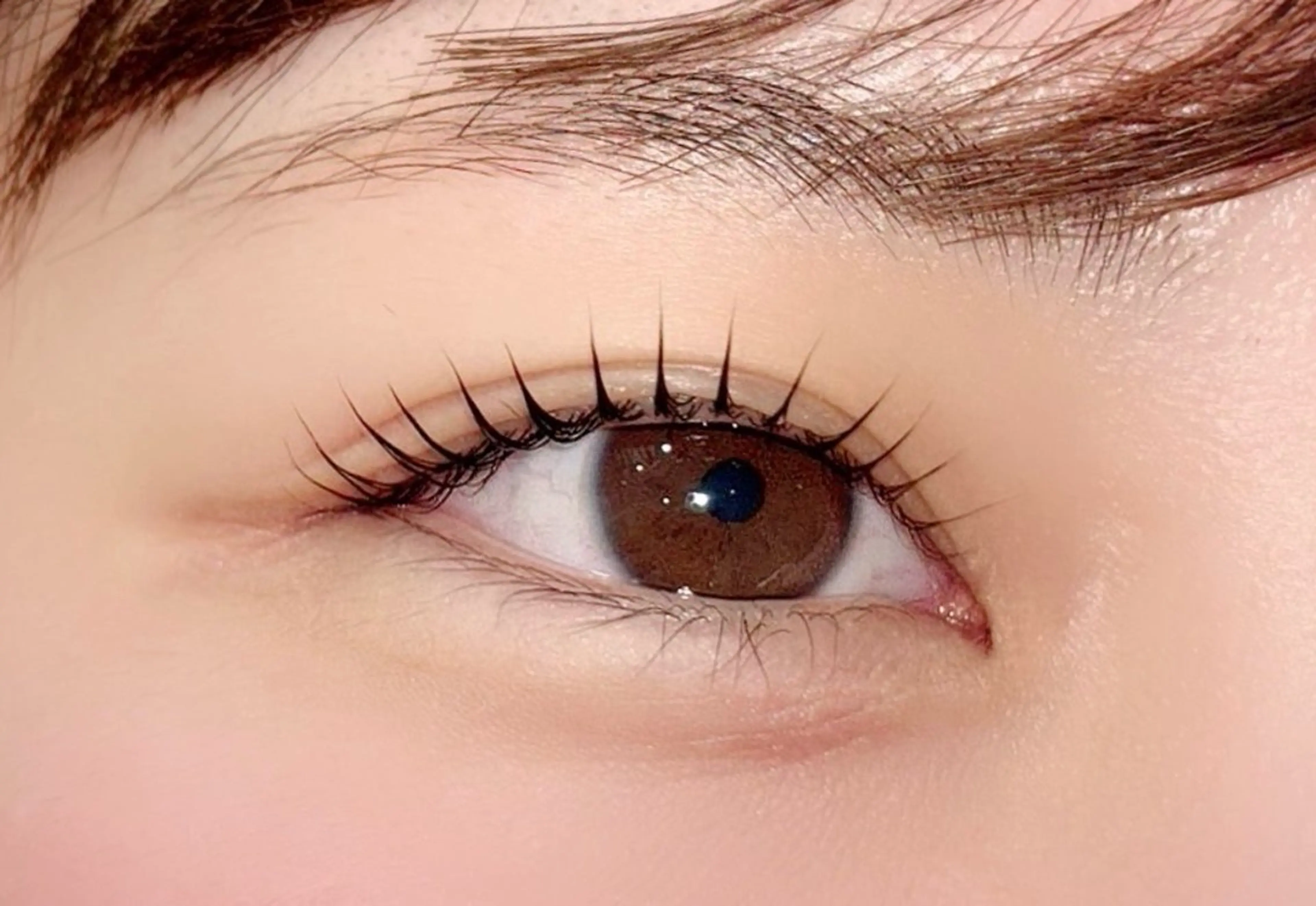 マツエク・マツパ JANIS EYELASH 白石の眉毛・アイブロウイメージ