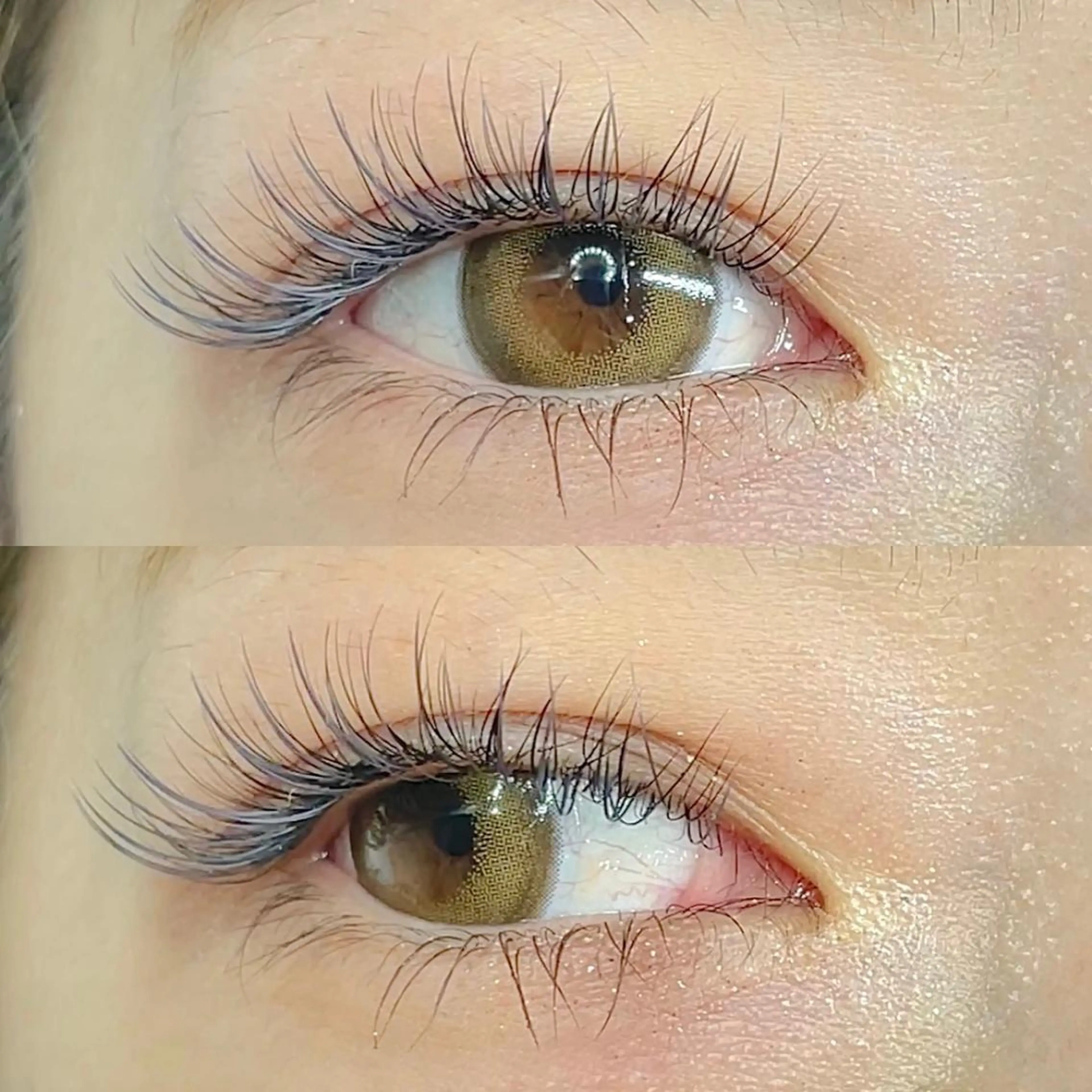 マツエク・マツパ Rediant所属・Rediant 🌼 eyelashのマツエク・マツパデザイン