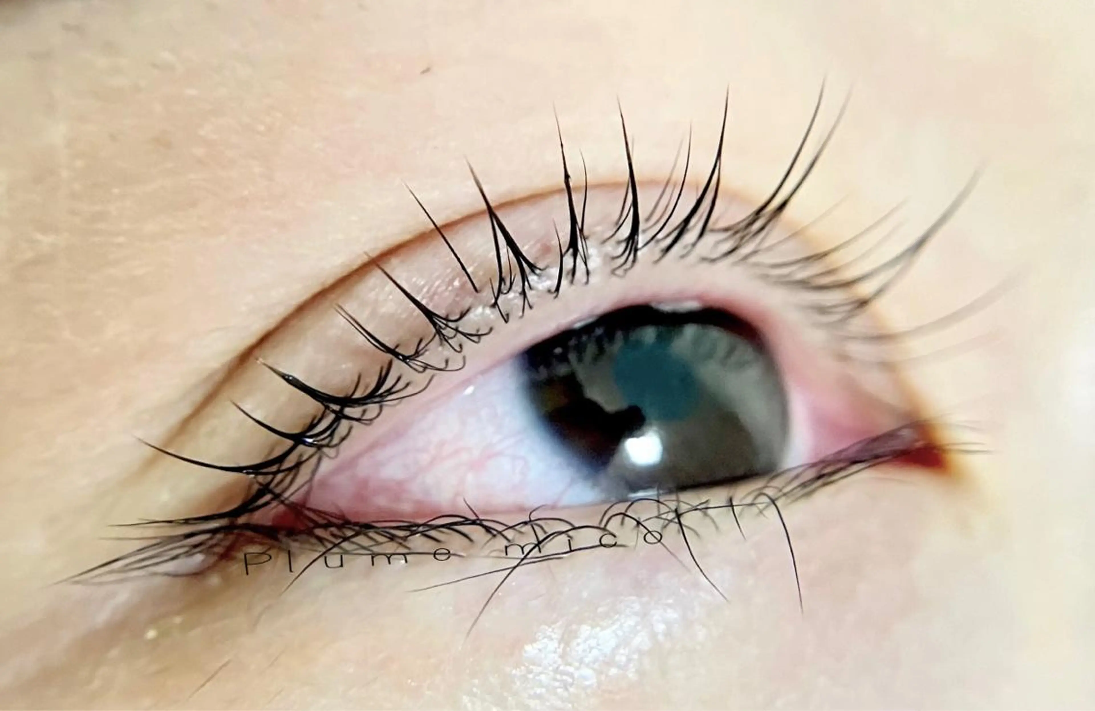 マツエク・マツパ マツパ Plume micoのマツエク・マツパデザイン