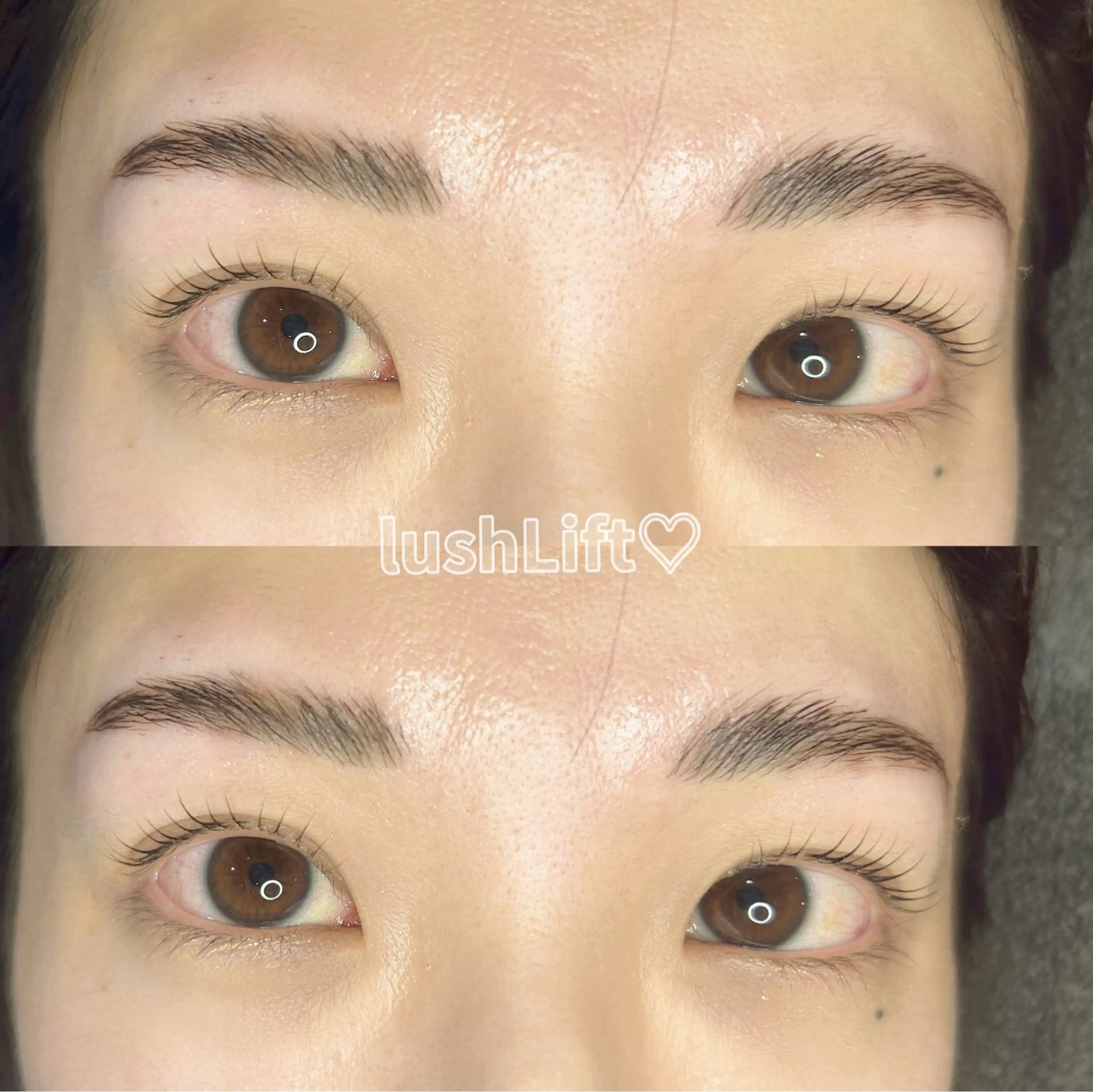 【期間限定メニュー】HBL眉パーマ（ワックス脱毛付き）＋上下まつ毛パーマorパリジェンヌ🧸の写真