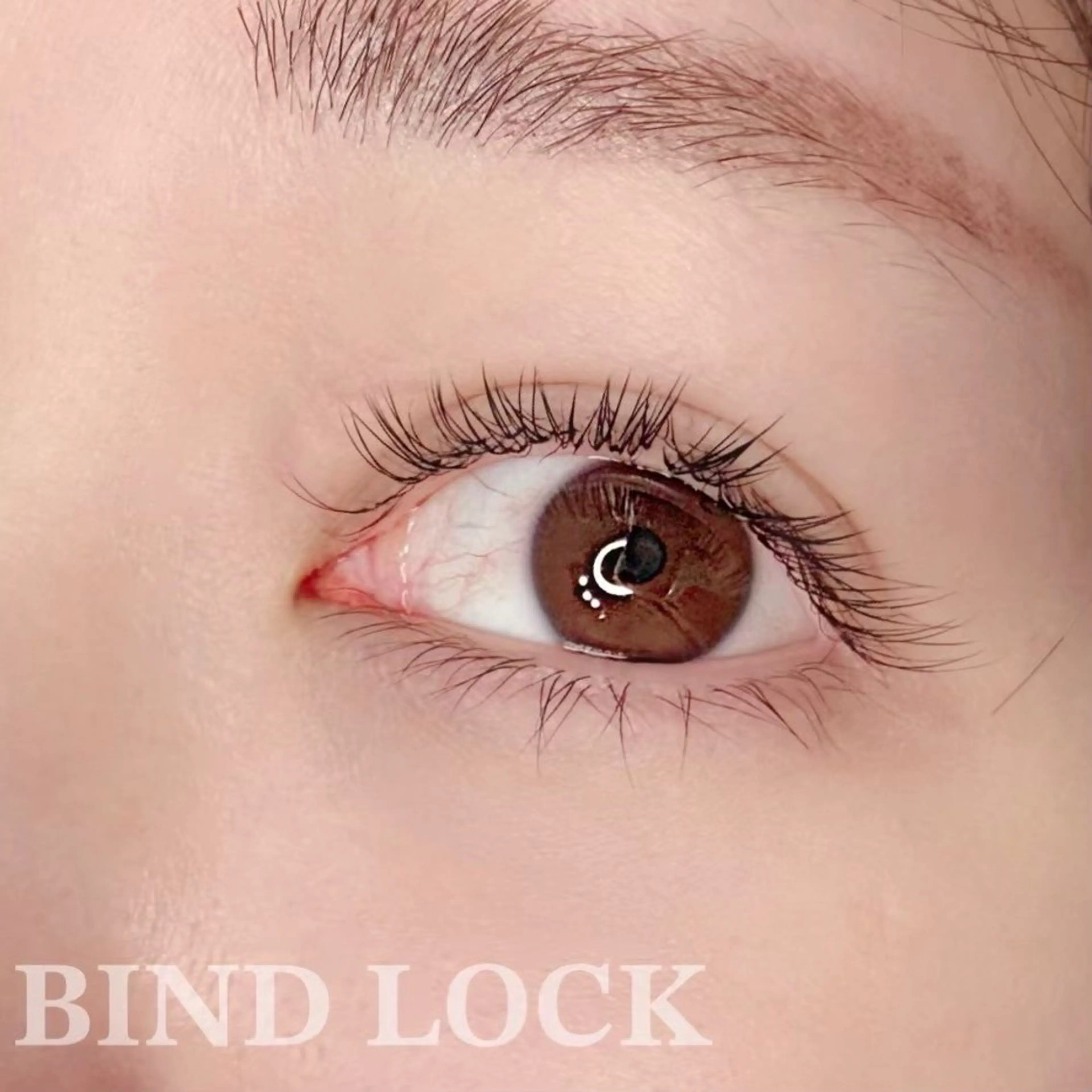 🌿 バインドロック 80束 🌿¥9,800 シングルラッシュ 120本程の仕上がり(少ない本数でもマスカラ仕上げ感)の写真