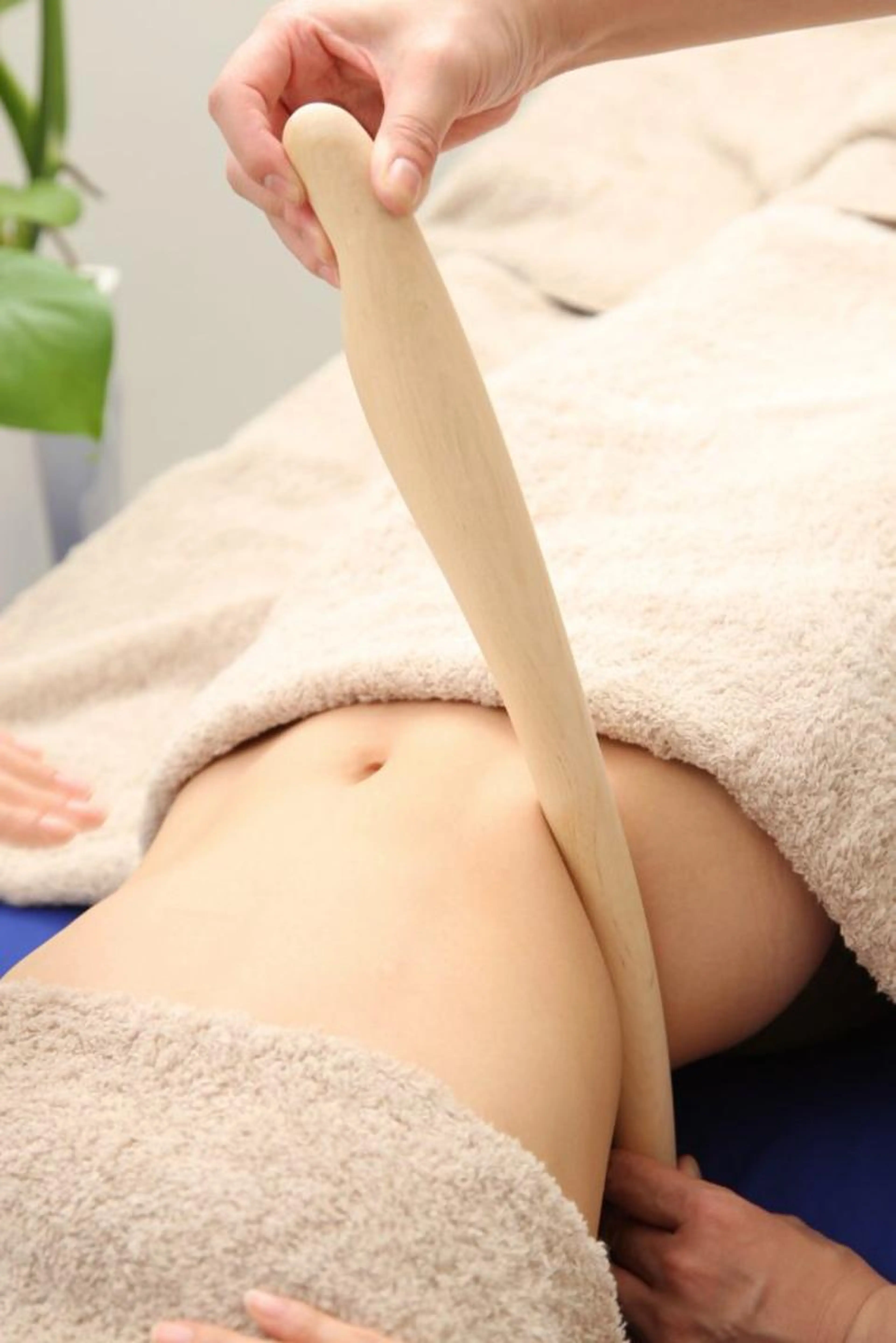 パワーツリー80分　上半身or下半身or背面の写真