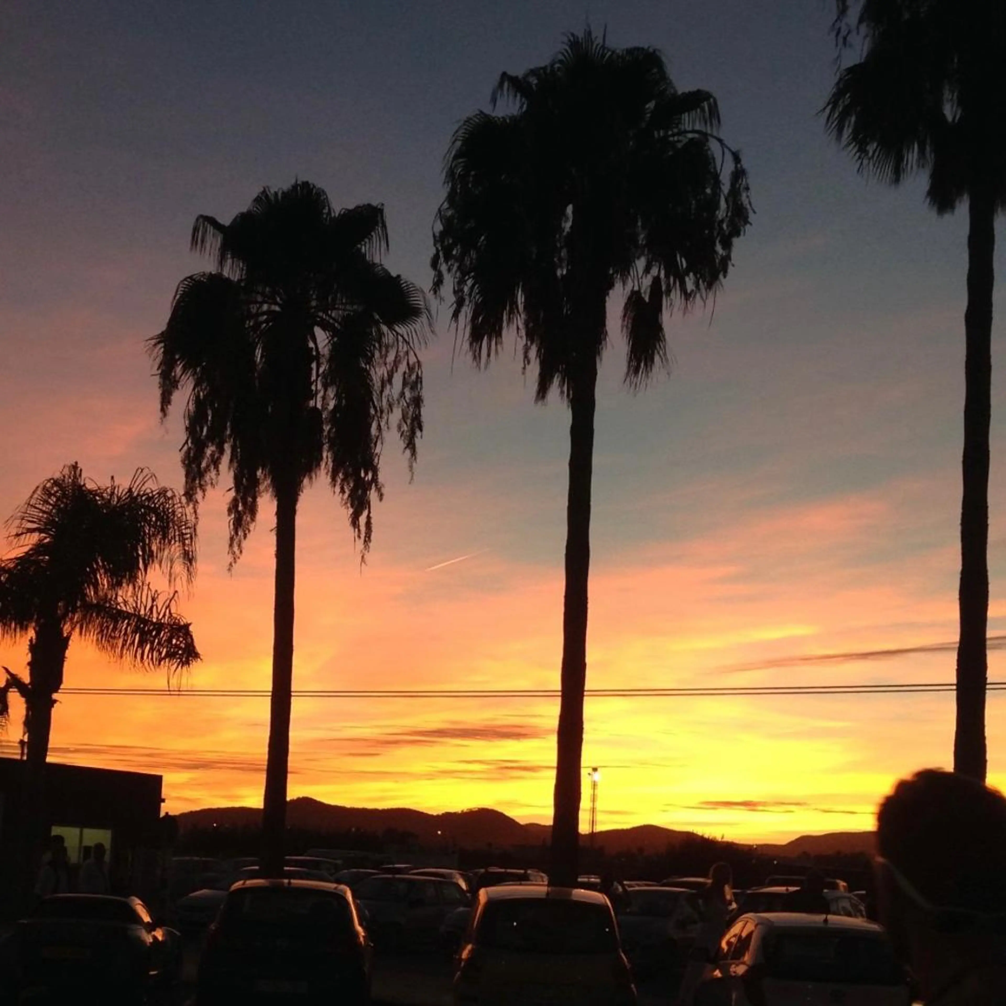 IwAsh  大和駅店所属・shiho .のヘアスタイル