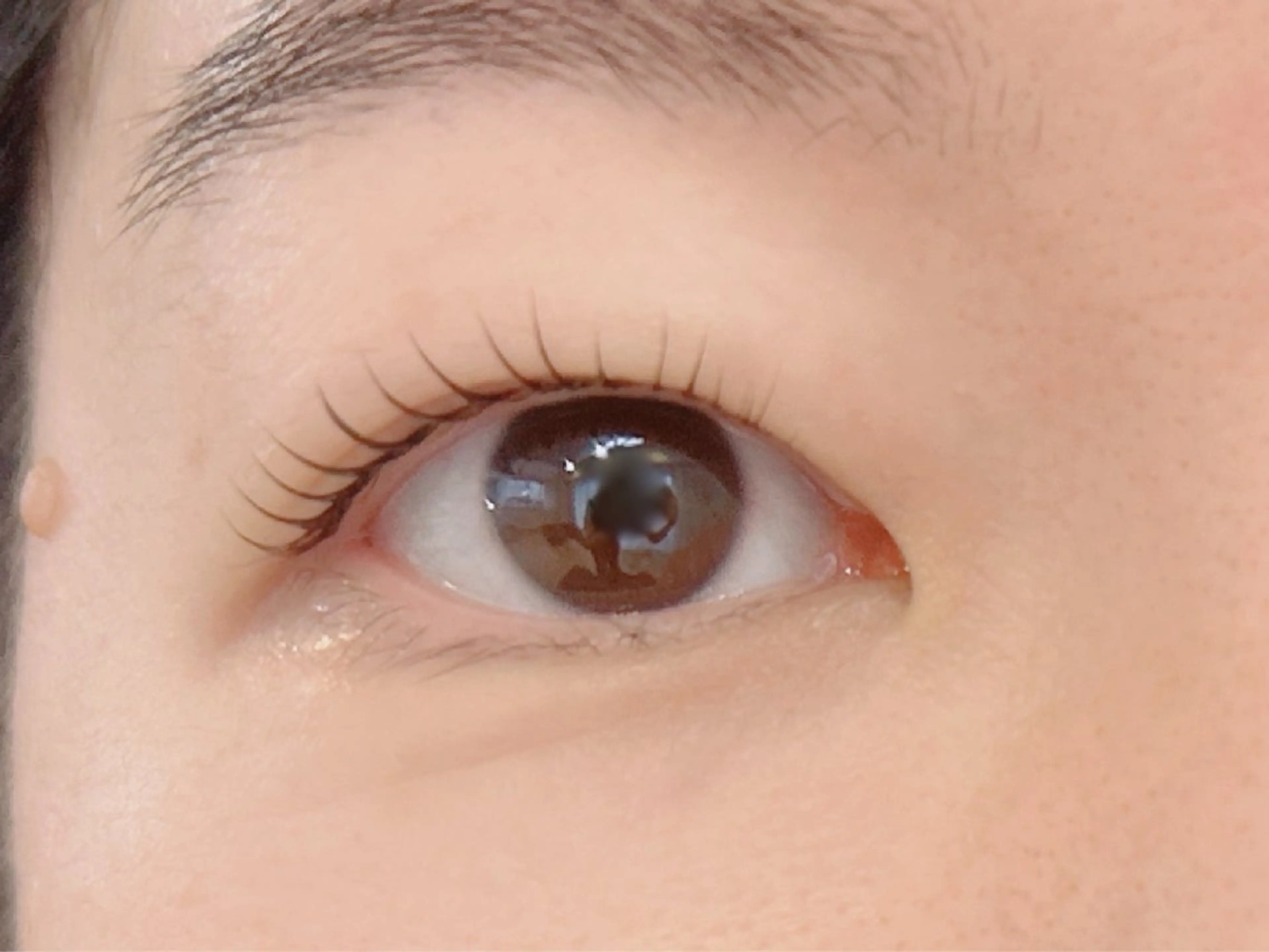マツエク・マツパ マツパ era.所属・eyelash era.のマツエク・マツパデザイン