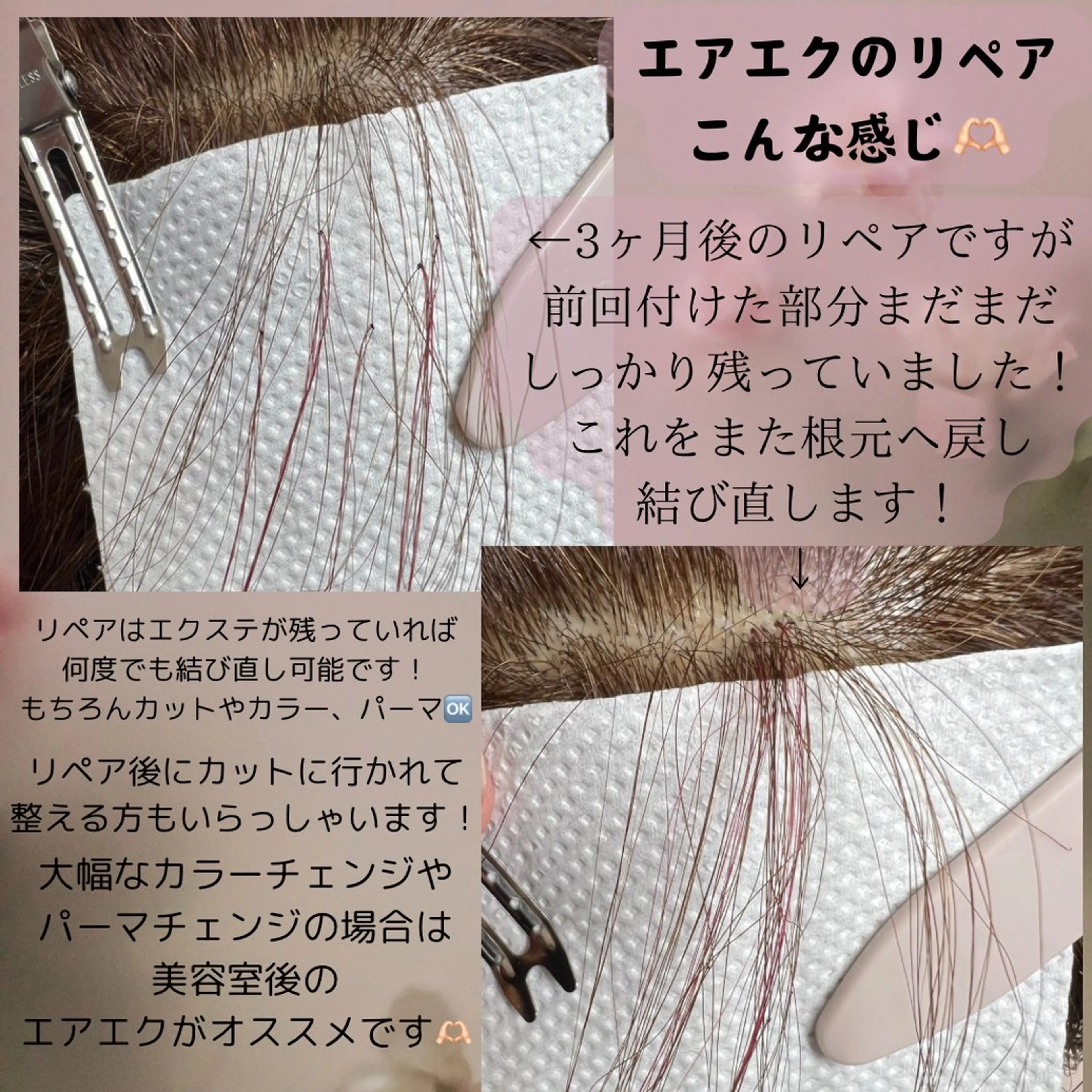 Le Lienのヘアスタイル
