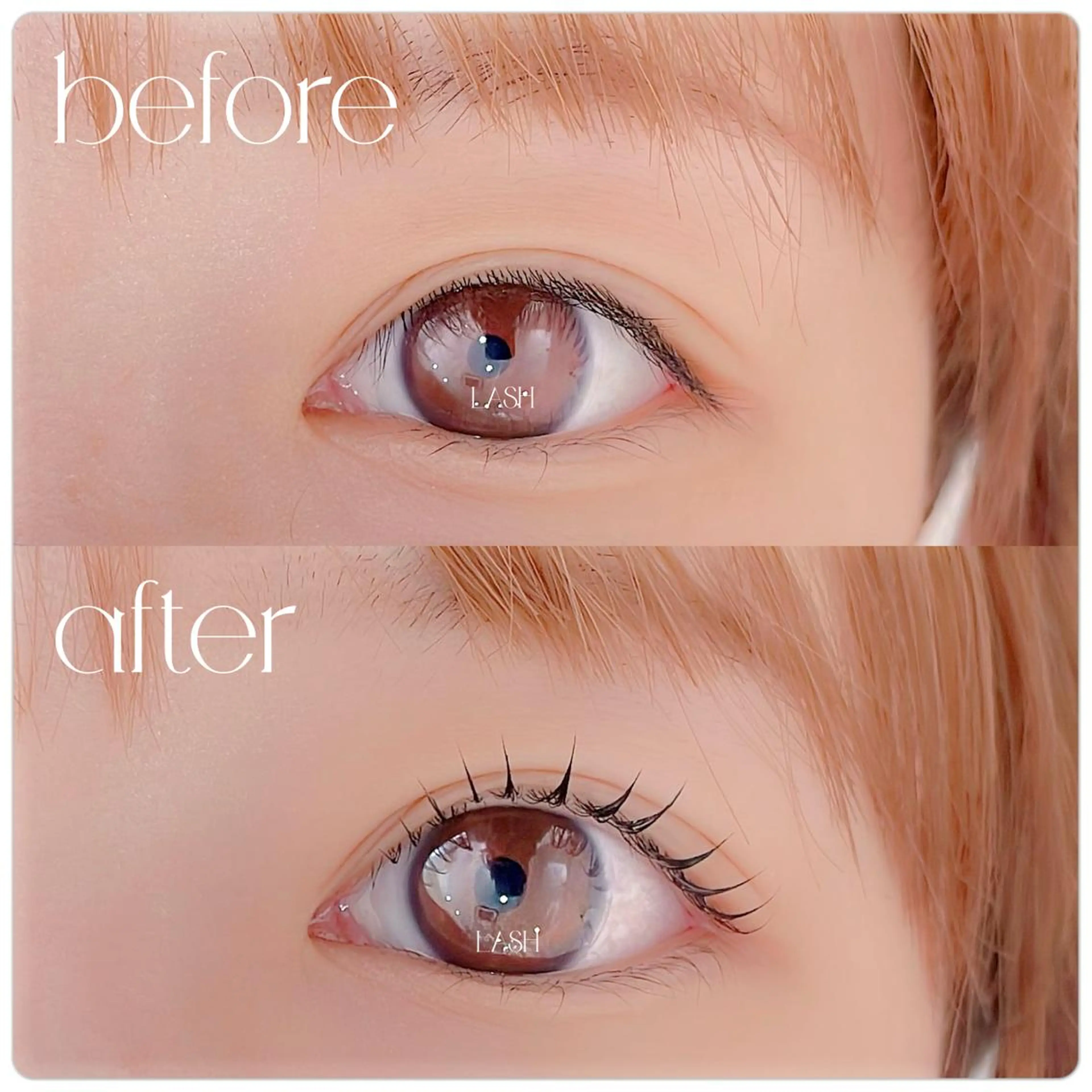 マツエク・マツパ Lash&Brow Mignonのマツエク・マツパデザイン