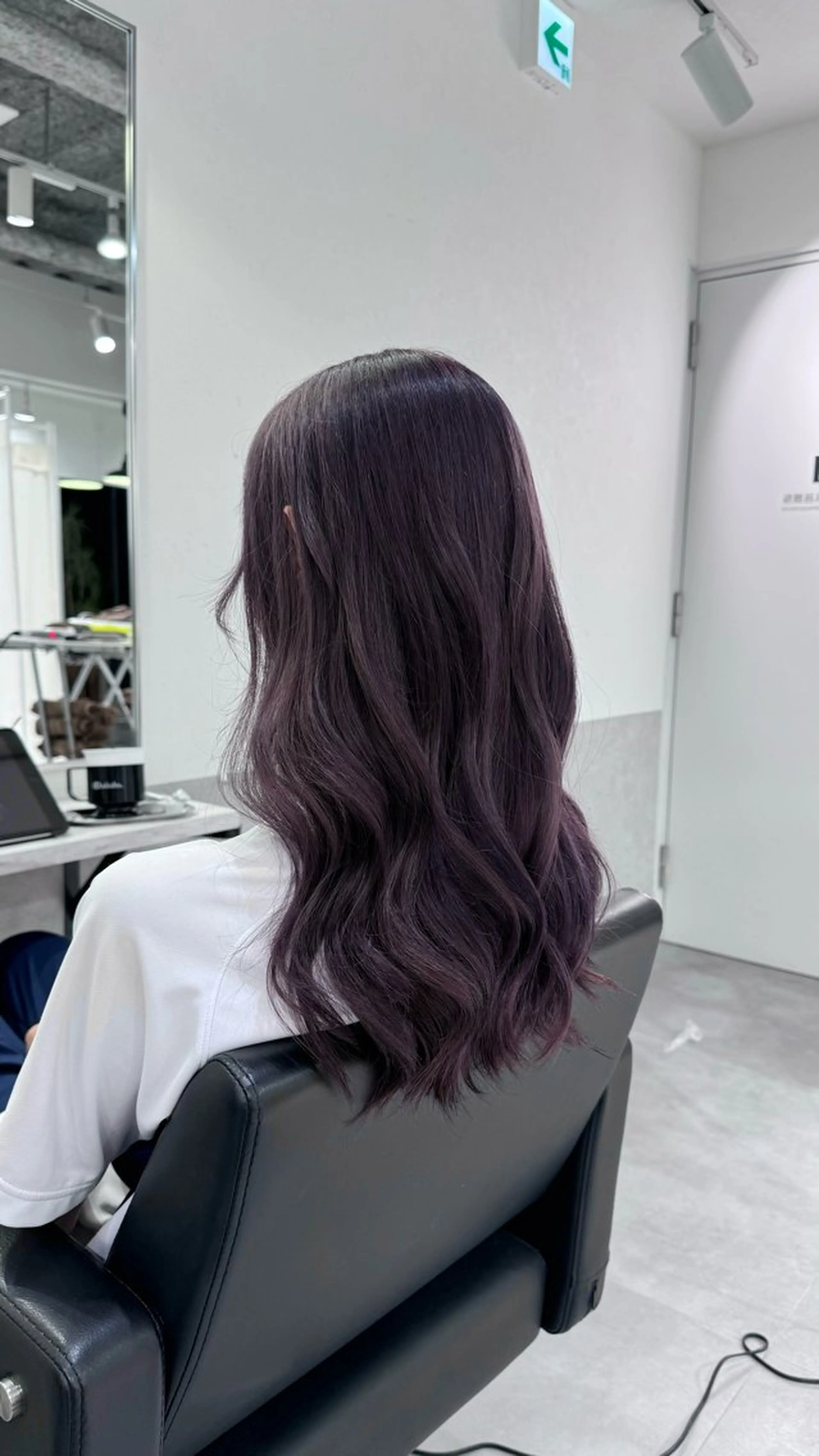 ロング パープルカラー ヘアカラー バレイヤージュ/ ハイライトꔛyumeのヘアスタイル