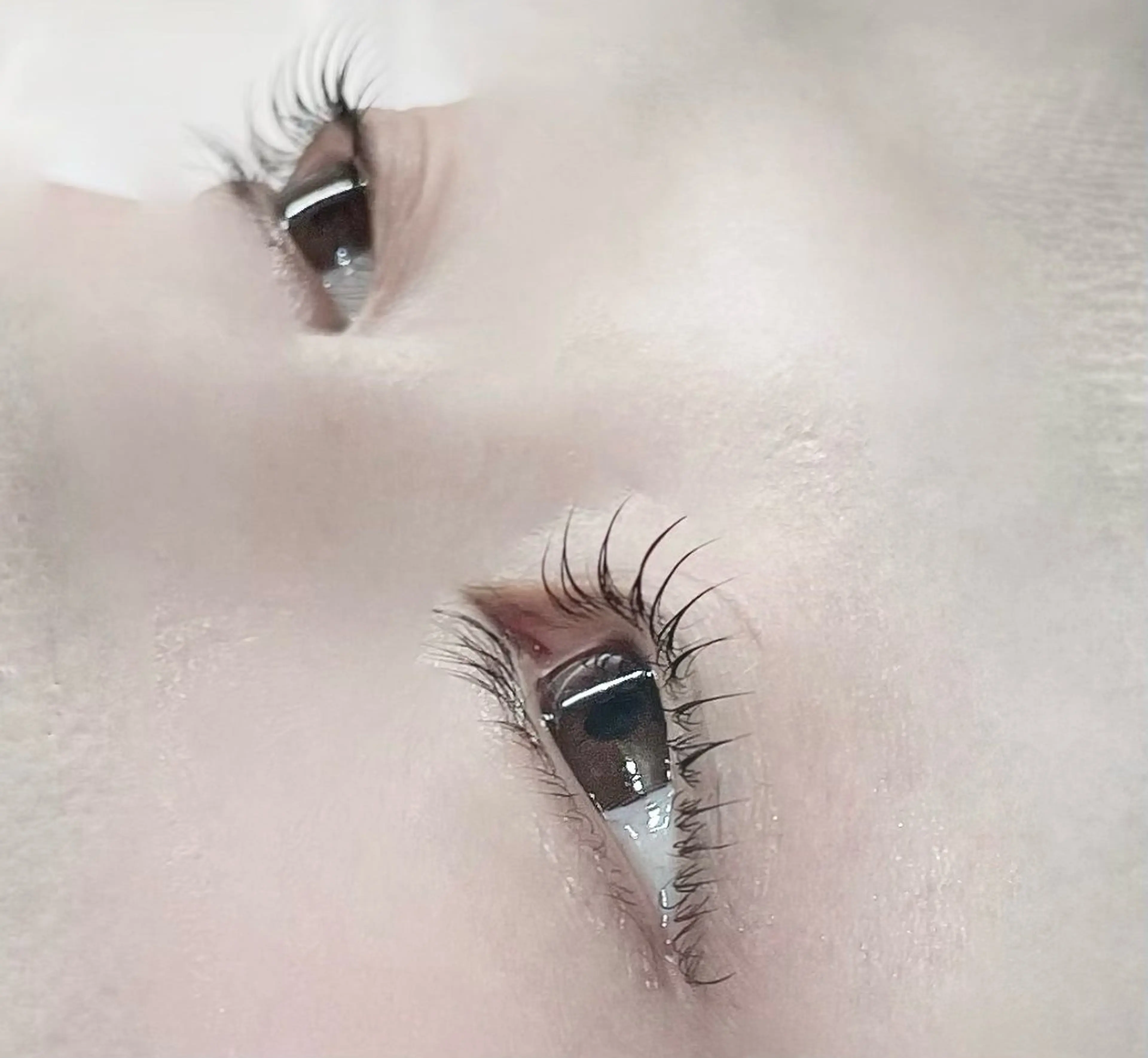 マツエク・マツパ Mew E&B studio所属・🎀Mew.e&b studio🐈‍⬛のマツエク・マツパデザイン