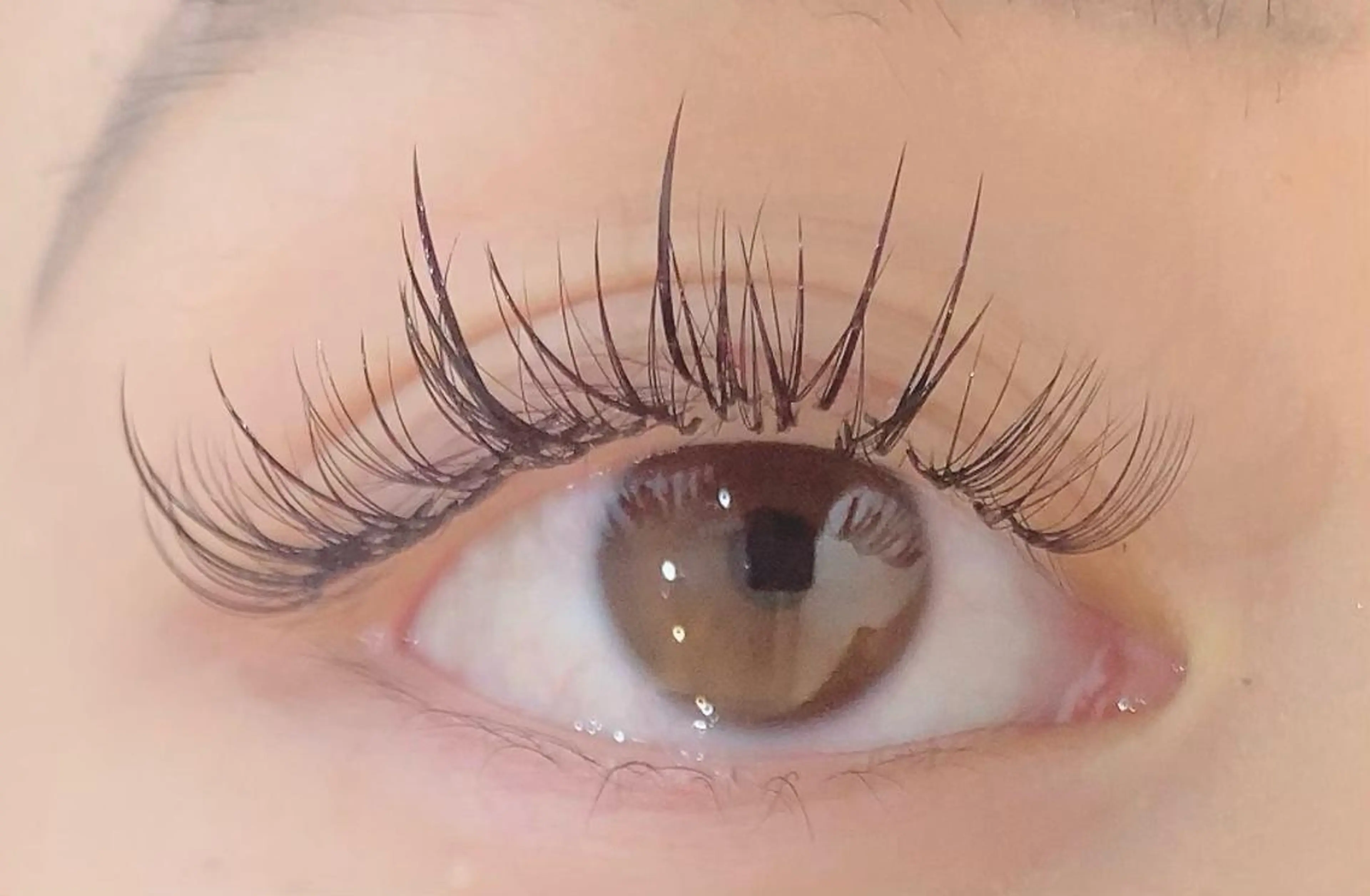 マツエク・マツパ ボリュームラッシュ ワンホンマツエク eyelist Oishiの眉毛・アイブロウイメージ