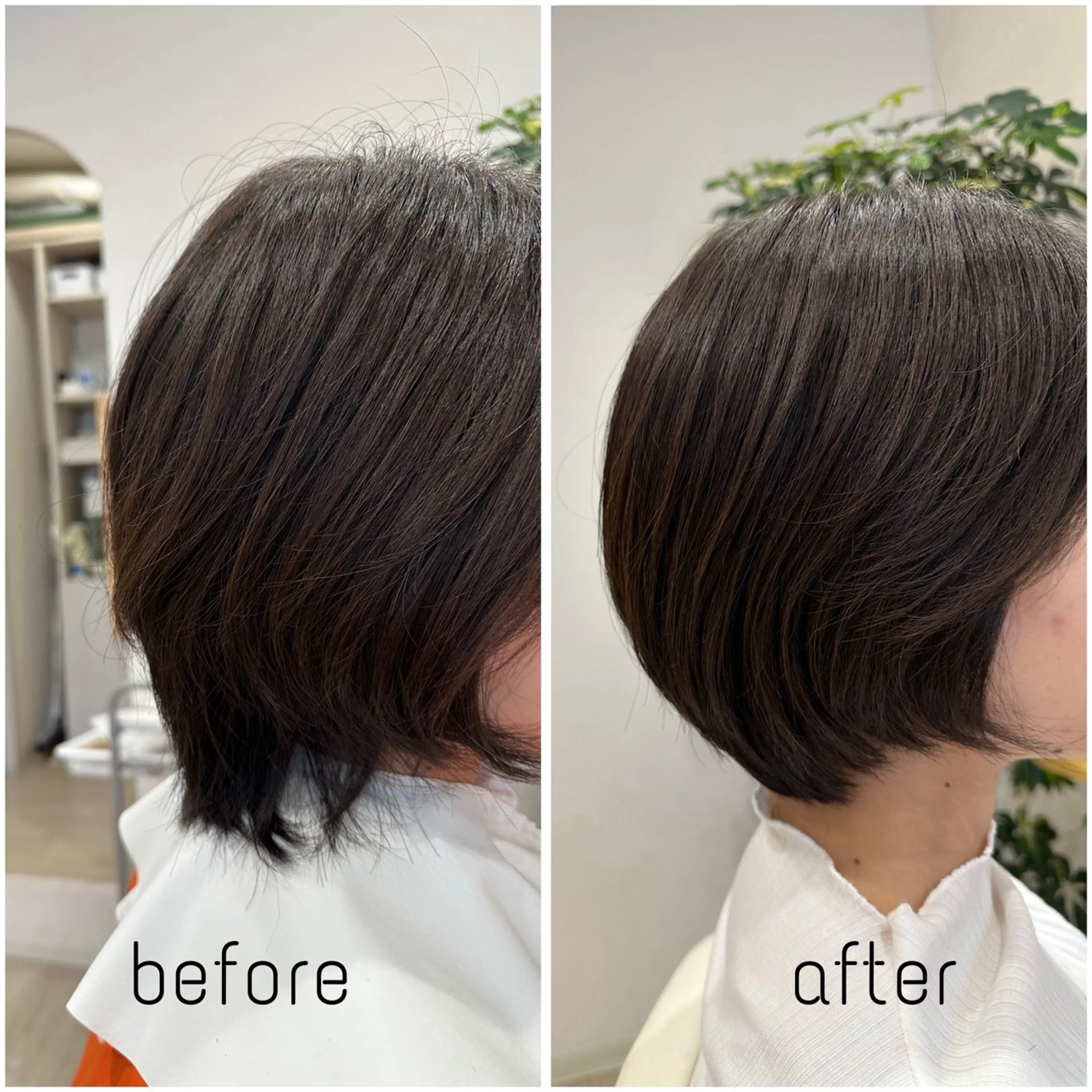 ショート ショートヘア カット Hair Life Design NiCO所属・カットモデル 募集中/アスカのヘアスタイル