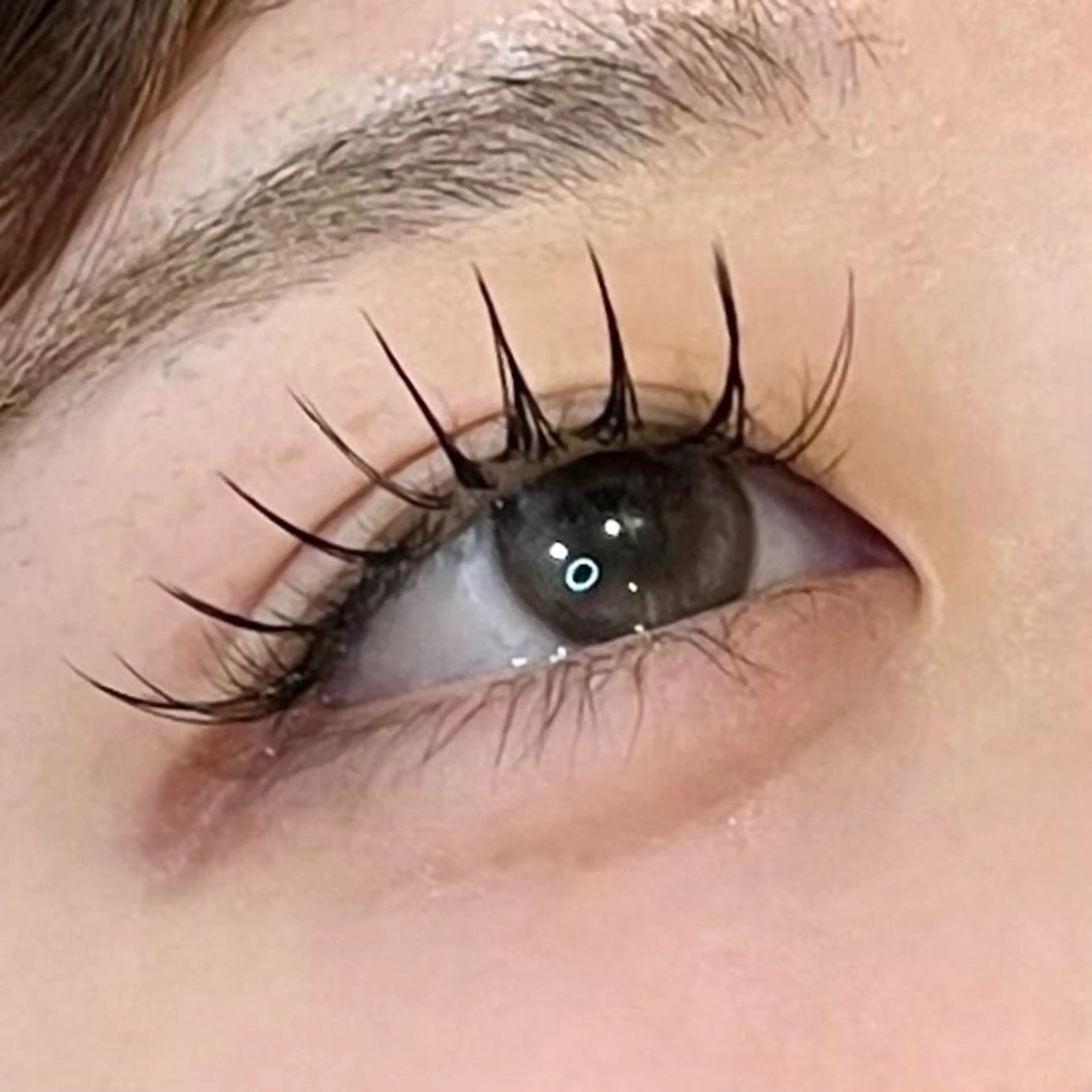 平日限定✨マツエクモデル🩷マツエク 100本🩵コーティング込みの写真