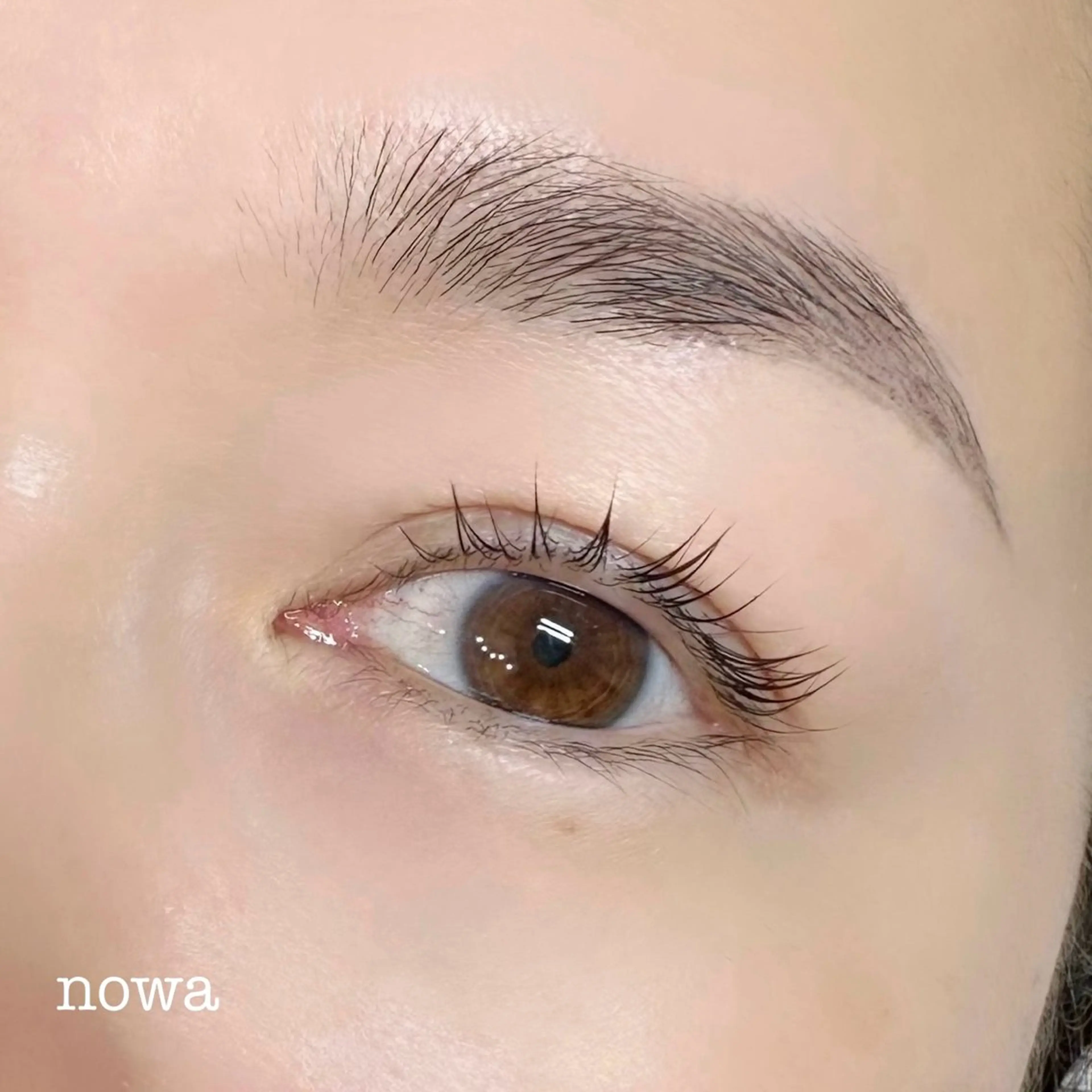 アイブロウ 眉毛ワックス脱毛 ワックス脱毛 眉カット その他(アイブロウ) nowa所属・《nowa》 mai まつげ/眉毛のマツエク・マツパデザイン