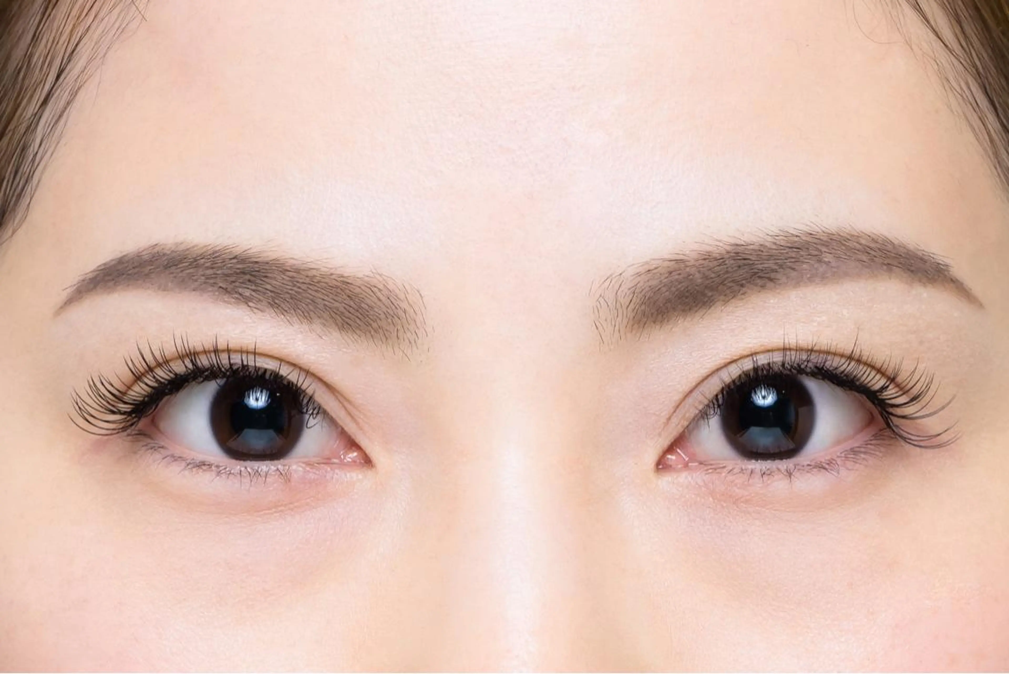 マツエク・マツパ 池野 咲眞の眉毛・アイブロウイメージ