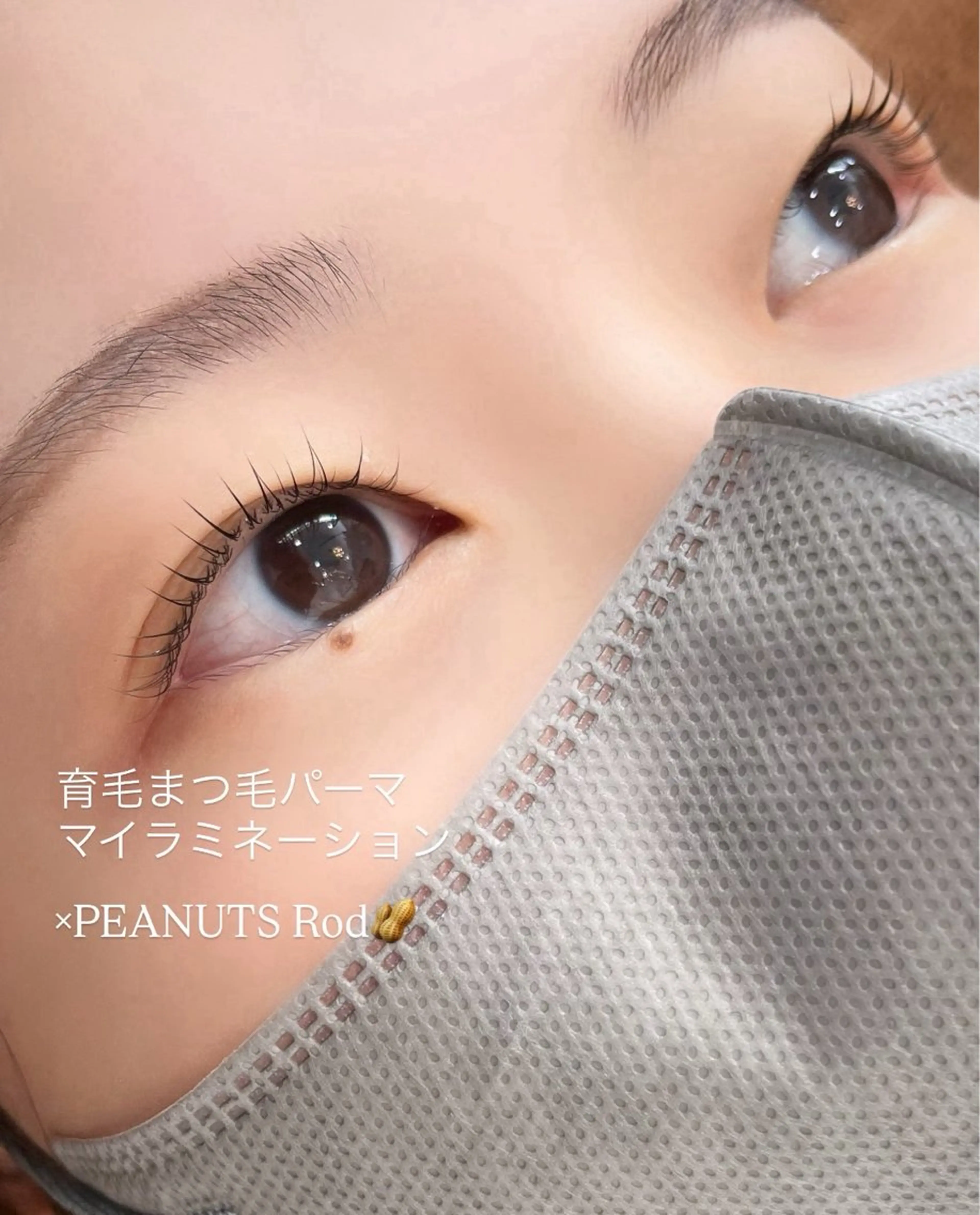 マツエク・マツパ マツパ REGINA (レジーナ)所属・REGINA アイラッシュ/ブロウのマツエク・マツパデザイン