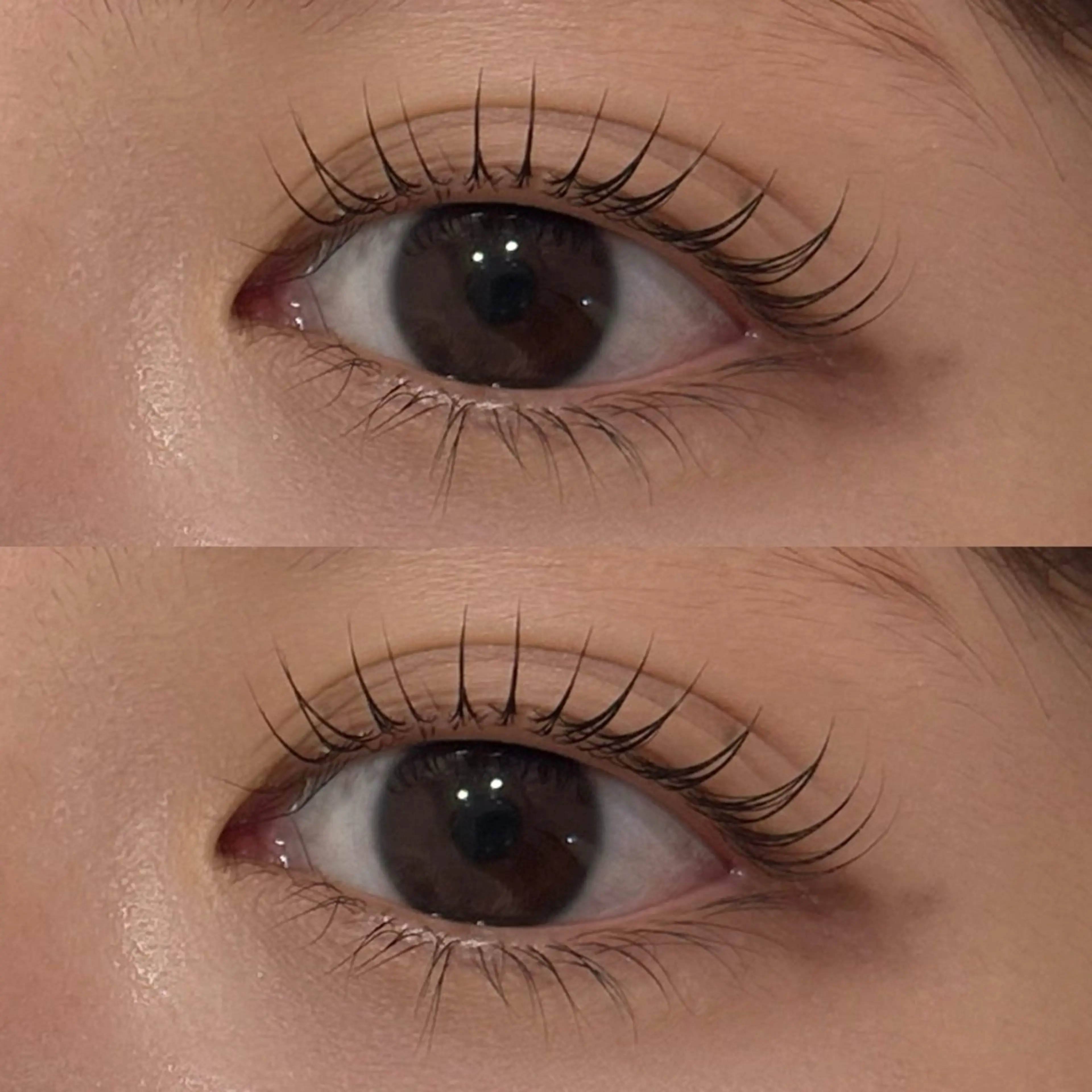 マツエク・マツパ ケラチンラッシュリフト マツパ eyelist ERINA〜.。🧸のマツエク・マツパデザイン