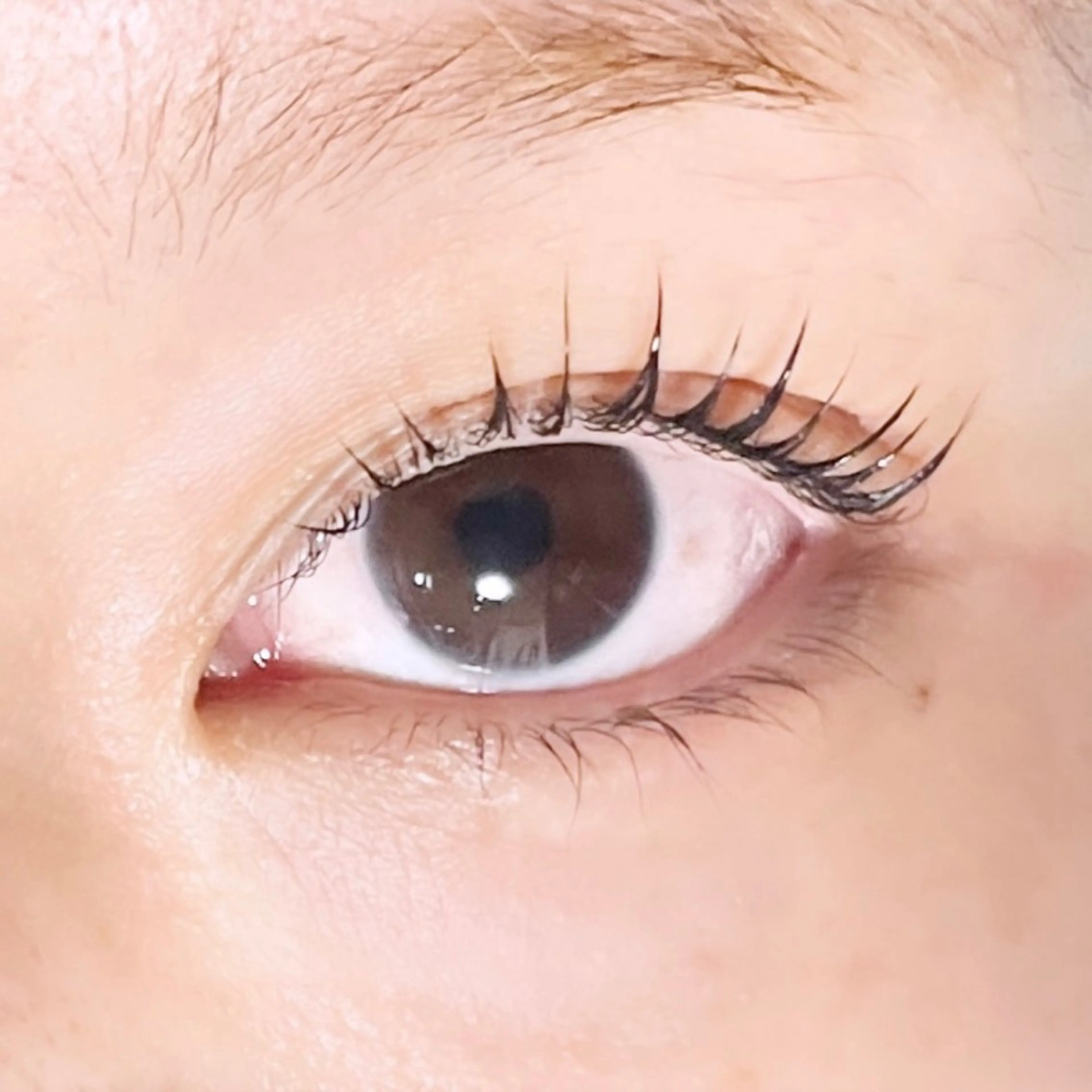 マツエク・マツパ TAKEO🖤 マリーテレジア藤が丘のマツエク・マツパデザイン