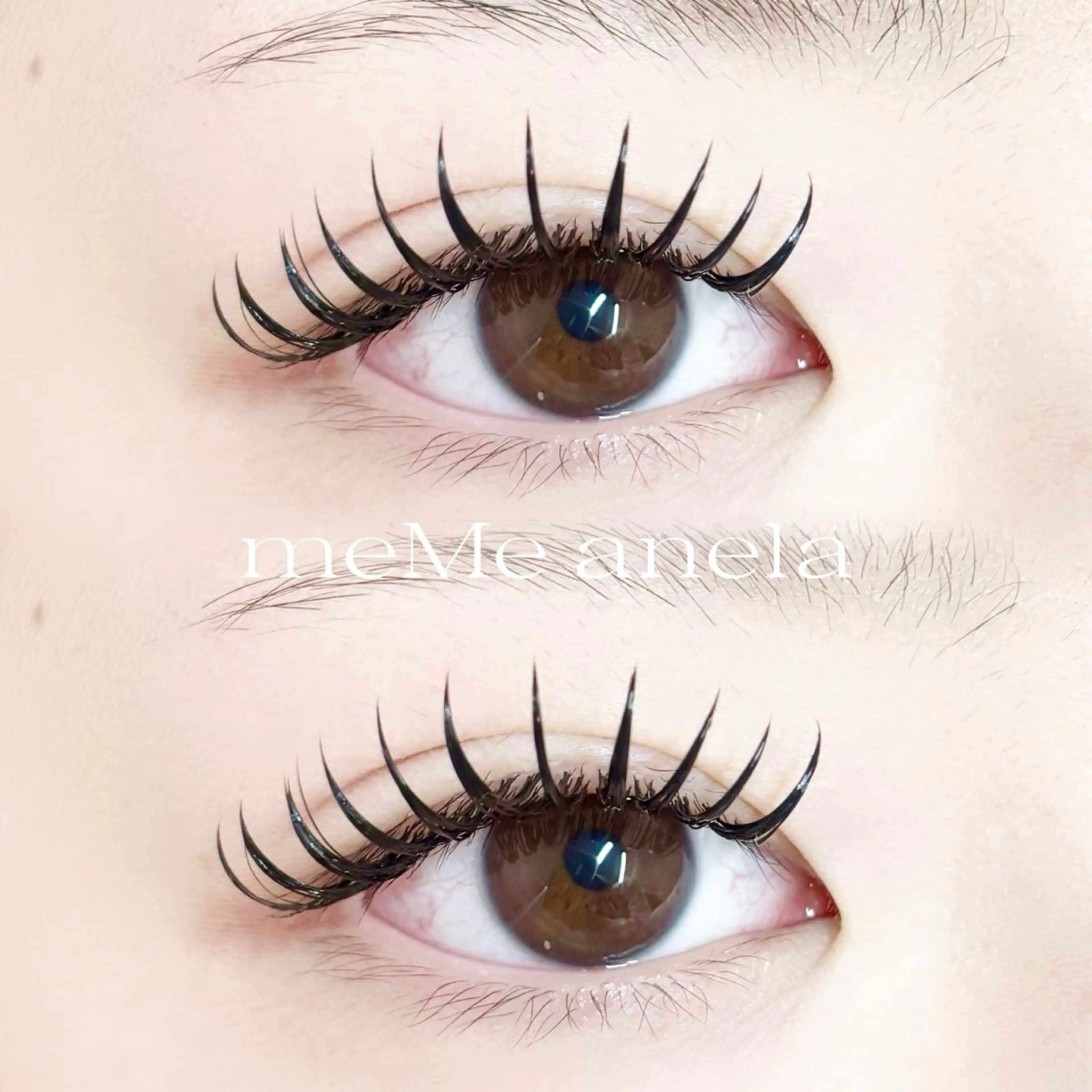 バインドロック100束の写真