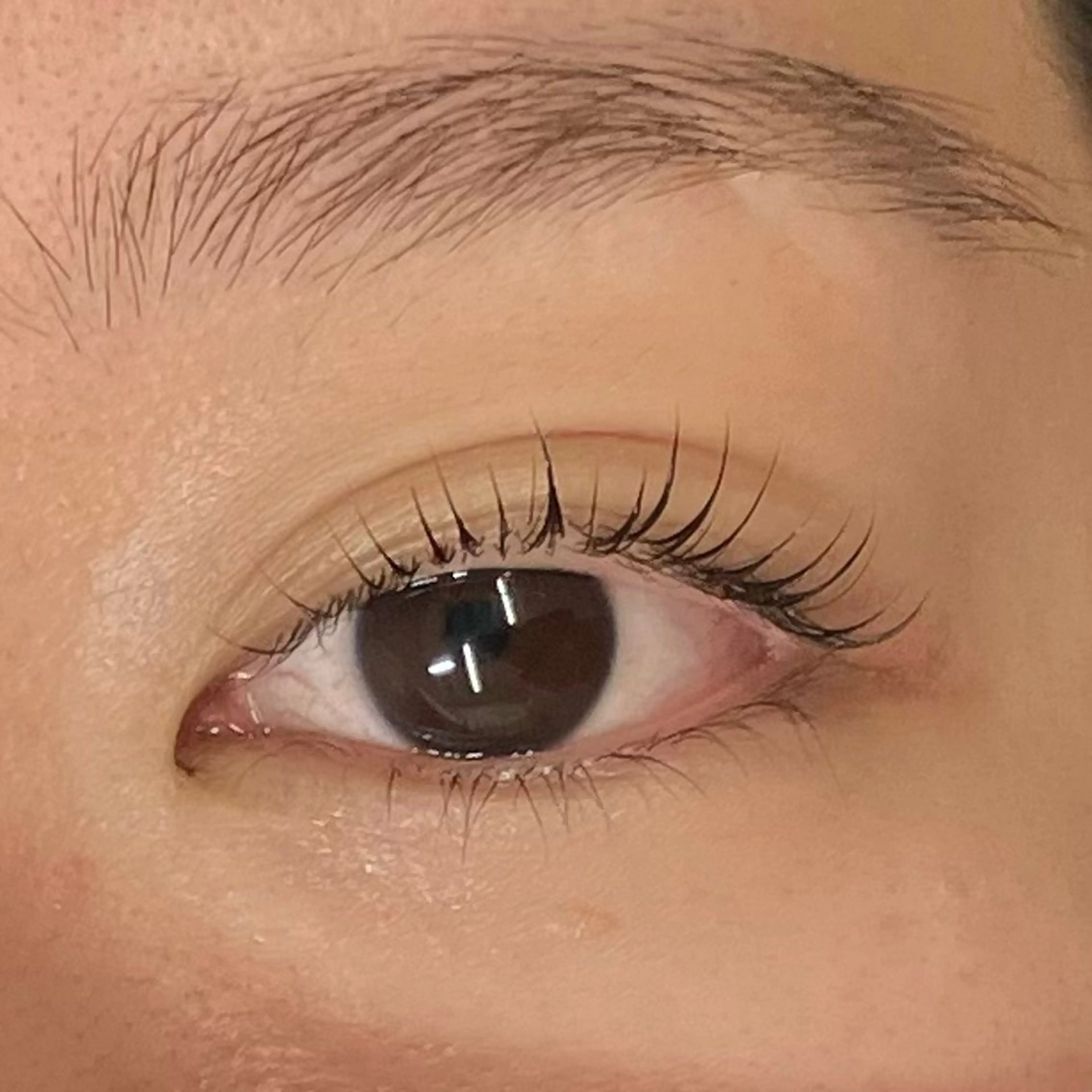 マツエク・マツパ まつげと眉毛のお店Sakura Lash【サクララッシュ】所属・【ダメージケア特化】 🌸 サクララッシュの眉毛・アイブロウイメージ