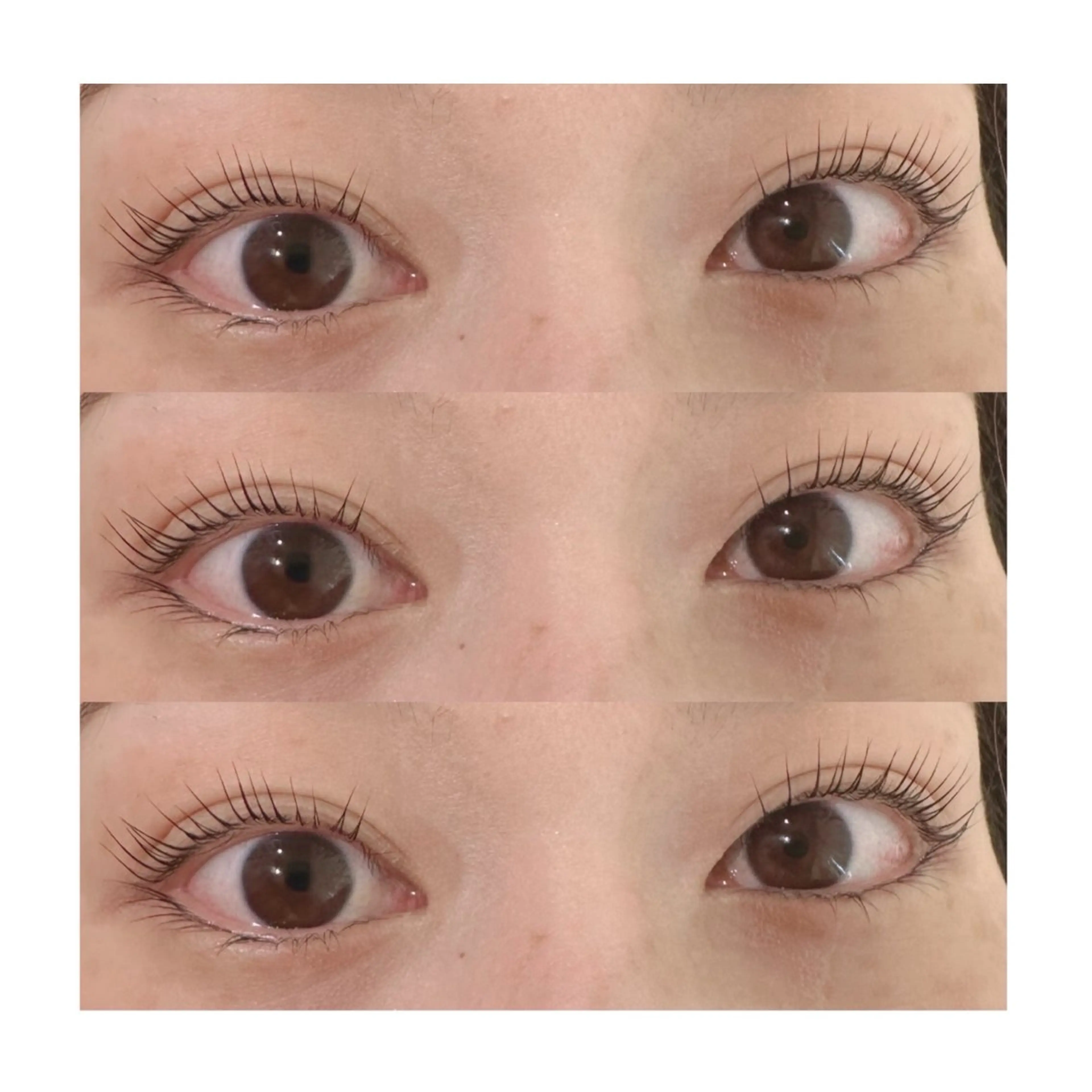マツエク・マツパ パリジェンヌラッシュリフト マツパ koa【  コア⠀】所属・Koa🦋ma ho🦋のマツエク・マツパデザイン